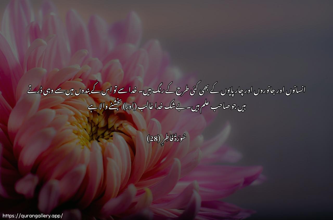 Surah Faatir Ayah 28 of 35 HD Wallpaper: Download Beautiful horizontal Quran Verse Image | Wamina annasi waddawabbiwal-anAAami mukhtalifun alwanuhu kathalikainnama yakhsha Allaha min AAibadihialAAulamao inna Allaha AAazeezun ghafoor