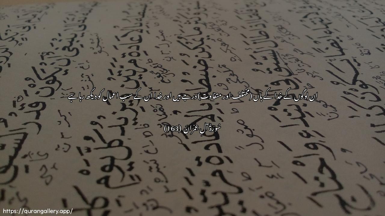 Surah Aal-i-Imraan Ayah 163 of 3 HD Wallpaper: Download Beautiful horizontal Quran Verse Image | Hum darajatun AAinda Allahiwallahu baseerun bima yaAAmaloon