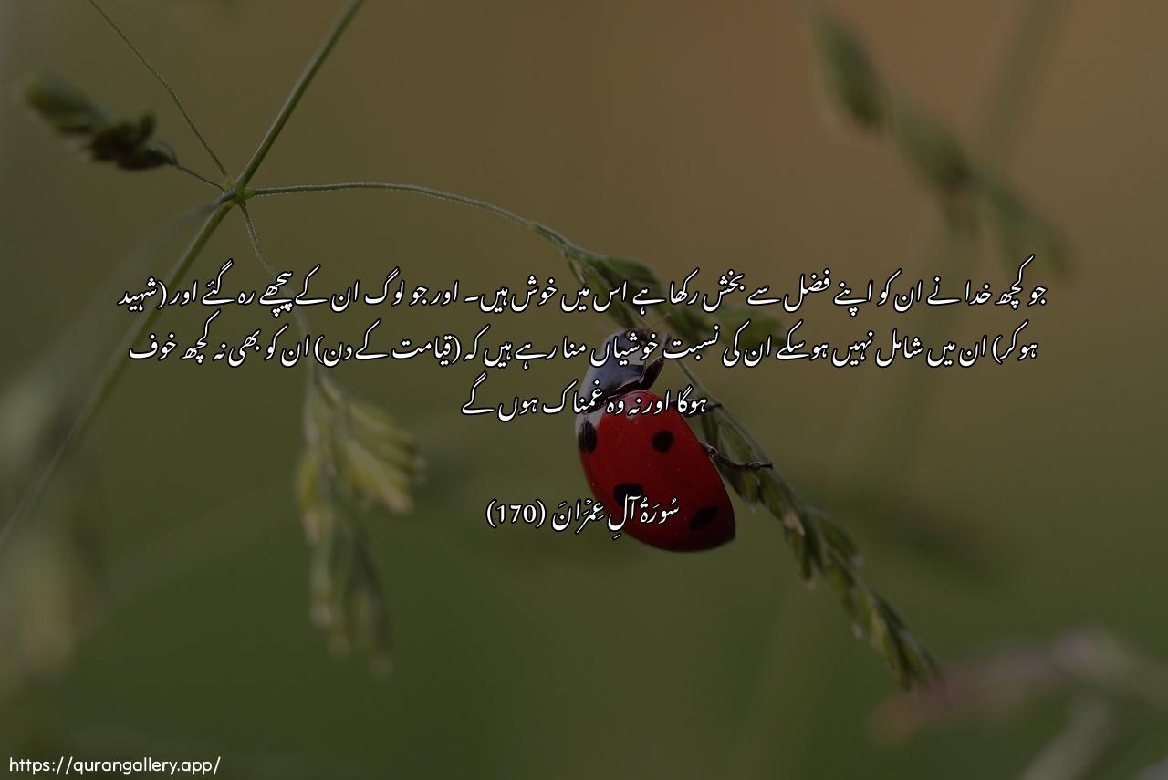 Surah Aal-i-Imraan Ayah 170 of 3 HD Wallpaper: Download Beautiful horizontal Quran Verse Image | Fariheena bima atahumuAllahu min fadlihi wayastabshiroona billatheenalam yalhaqoo bihim min khalfihim alla khawfunAAalayhim wala hum yahzanoon