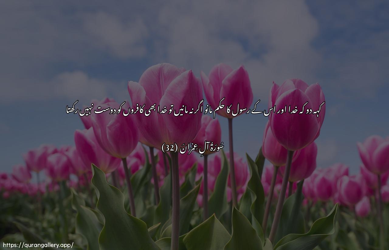 Surah Aal-i-Imraan Ayah 32 of 3 HD Wallpaper: Download Beautiful horizontal Quran Verse Image | Qul ateeAAoo Allaha warrasoolafa-in tawallaw fa-inna Allaha la yuhibbu alkafireen