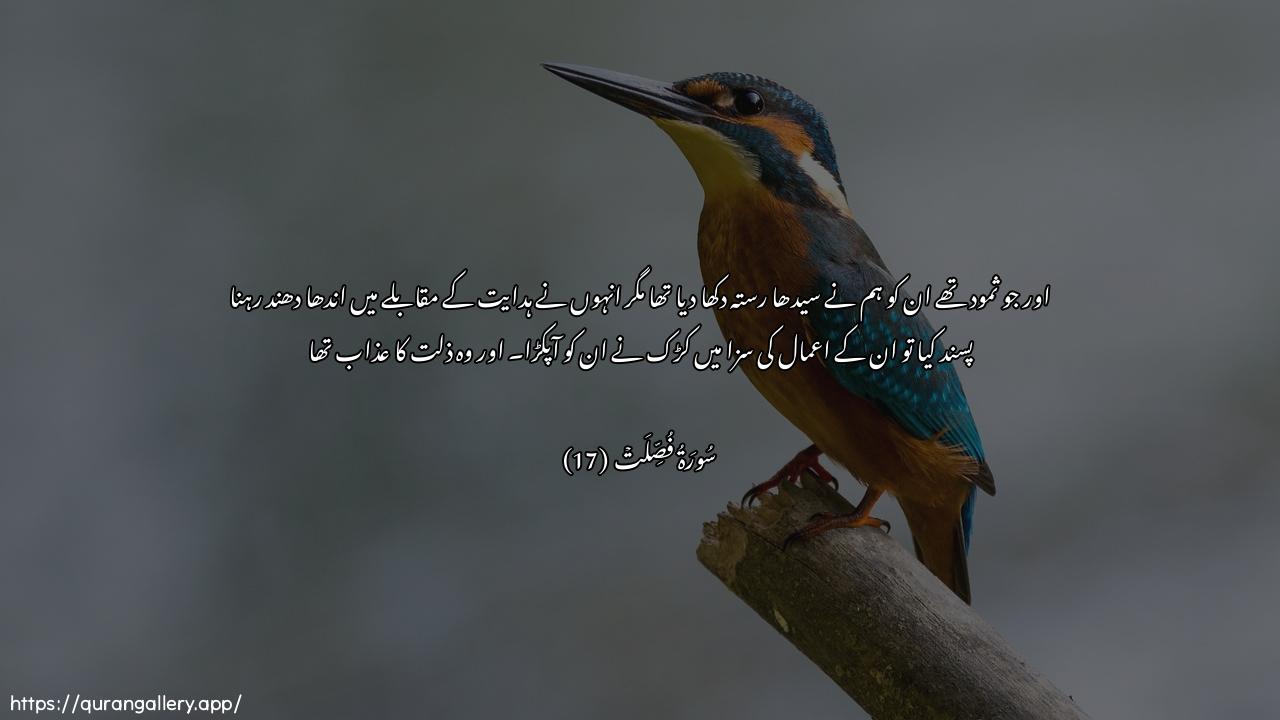 Surah Fussilat Ayah 17 of 41 HD Wallpaper: Download Beautiful horizontal Quran Verse Image | Waamma thamoodu fahadaynahumfastahabboo alAAama AAala alhudafaakhathat-hum saAAiqatu alAAathabi alhoonibima kanoo yaksiboon