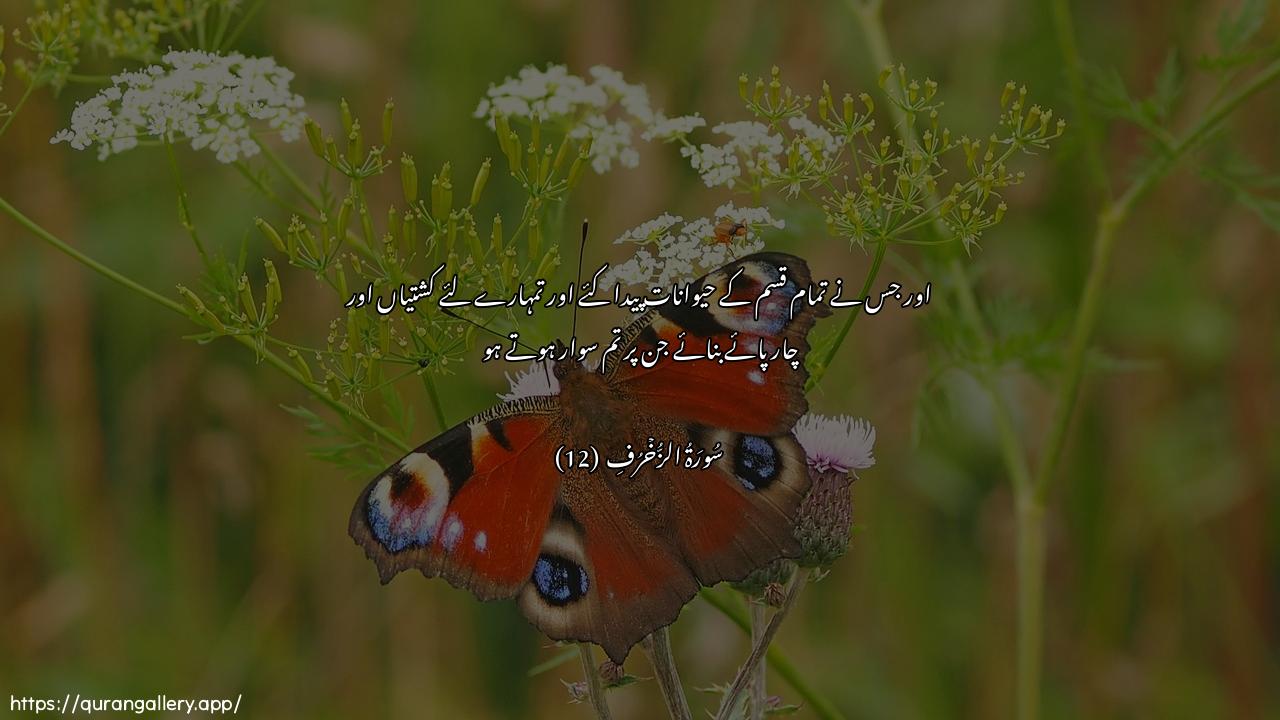 Surah Az-Zukhruf Ayah 12 of 43 HD Wallpaper: Download Beautiful horizontal Quran Verse Image | Wallathee khalaqa al-azwajakullaha wajaAAala lakum mina alfulki wal-anAAamima tarkaboon