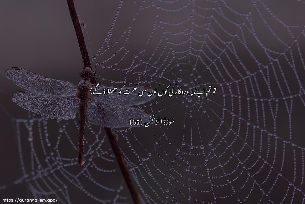 Surah Ar-Rahmaan Ayah 65 of 55 HD Wallpaper: Download Beautiful horizontal Quran Verse Image | Fabi-ayyi ala-i rabbikumatukaththiban