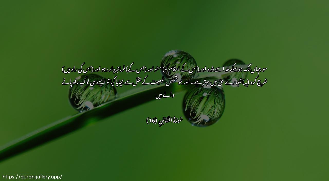 Surah At-Taghaabun Ayah 16 of 64 HD Wallpaper: Download Beautiful horizontal Quran Verse Image | Fattaqoo Allaha maistataAAtum wasmaAAoo waateeAAoo waanfiqookhayran li-anfusikum waman yooqa shuhha nafsihi faola-ikahumu almuflihoon