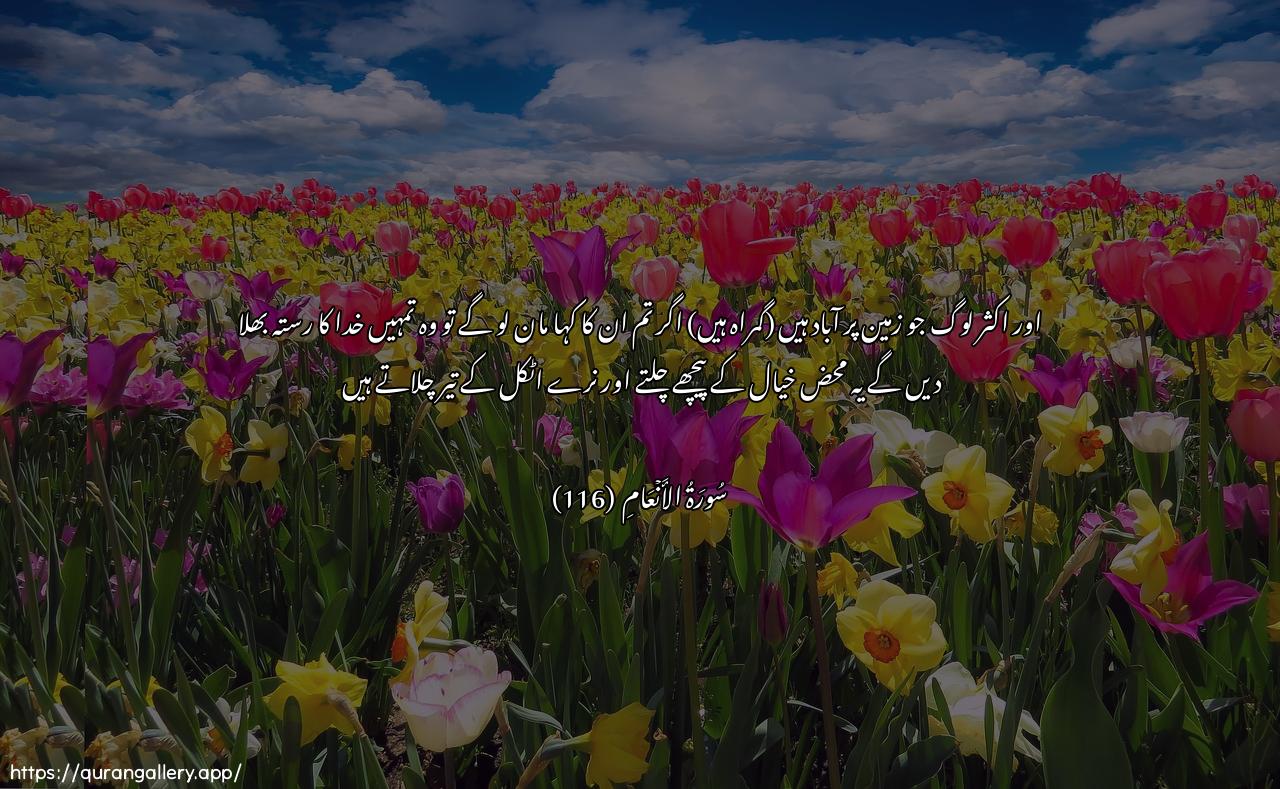 Surah Al-An"aam Ayah 116 of 6 HD Wallpaper: Download Beautiful horizontal Quran Verse Image | Wa-in tutiAA akthara man fee al-ardiyudillooka AAan sabeeli Allahi in yattabiAAoona illaaththanna wa-in hum illa yakhrusoon