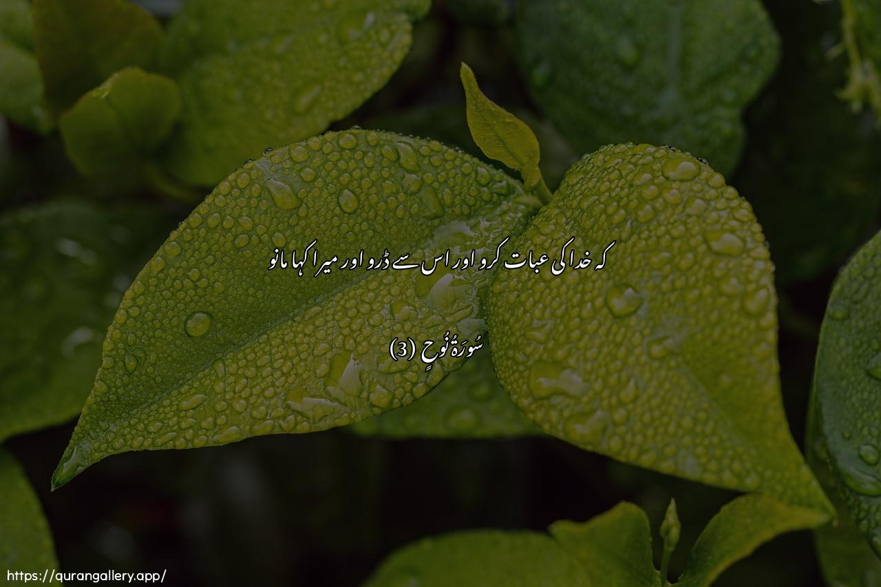 Surah Nooh Ayah 3 of 71 HD Wallpaper: Download Beautiful horizontal Quran Verse Image | Ani oAAbudoo Allaha wattaqoohuwaateeAAoon