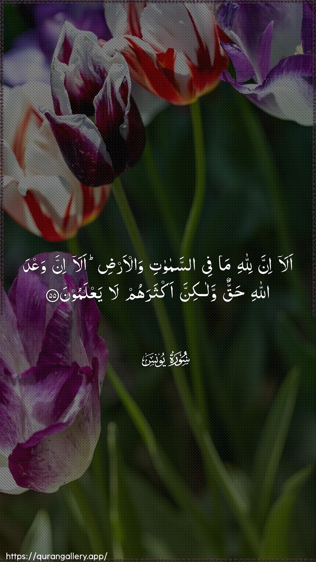 Surah Yunus Ayah 55 of 10 HD Wallpaper: Download Beautiful vertical Quran Verse Image | Ala inna lillahi ma feeassamawati wal-ardi alainna waAAda Allahi haqqun walakinnaaktharahum la yaAAlamoon