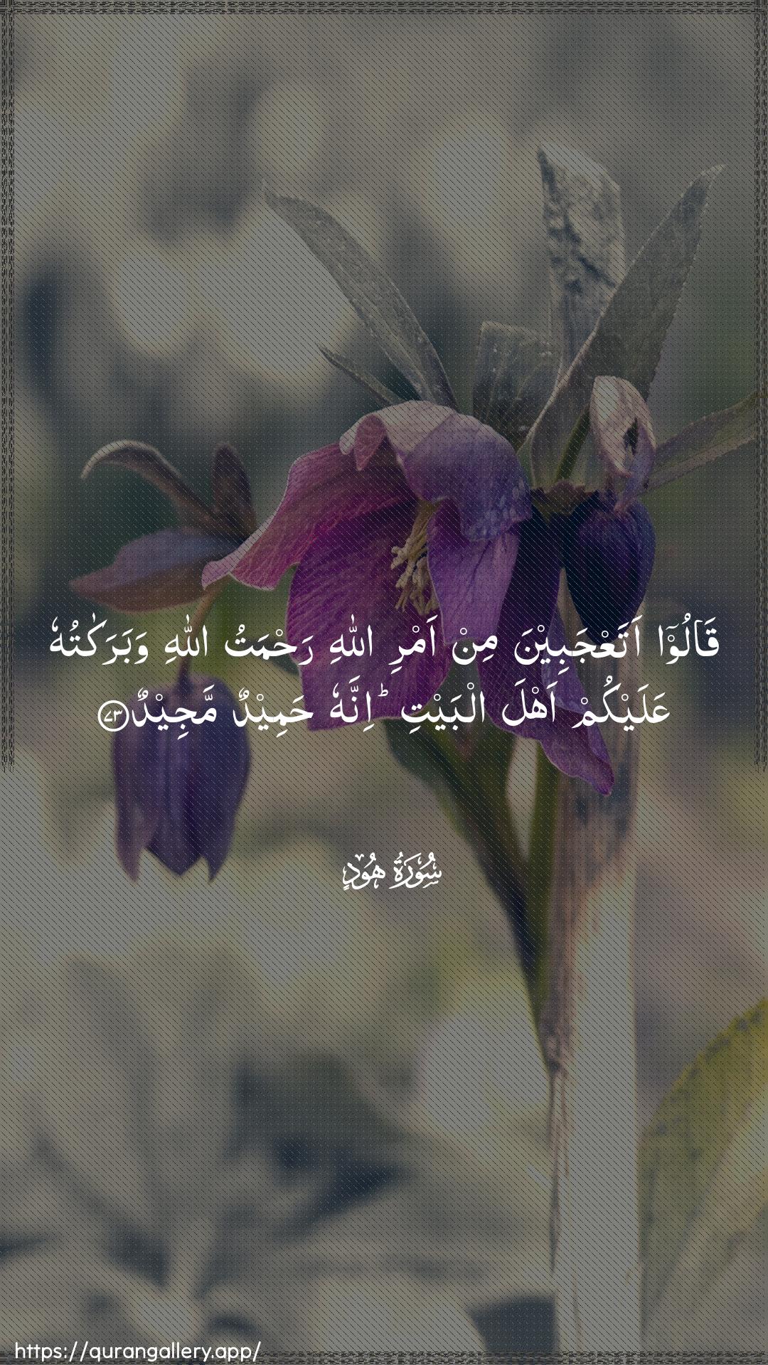 Surah Hud Ayah 73 of 11 HD Wallpaper: Download Beautiful vertical Quran Verse Image | Qaloo ataAAjabeena min amri Allahirahmatu Allahi wabarakatuhu AAalaykum ahlaalbayti innahu hameedun majeed