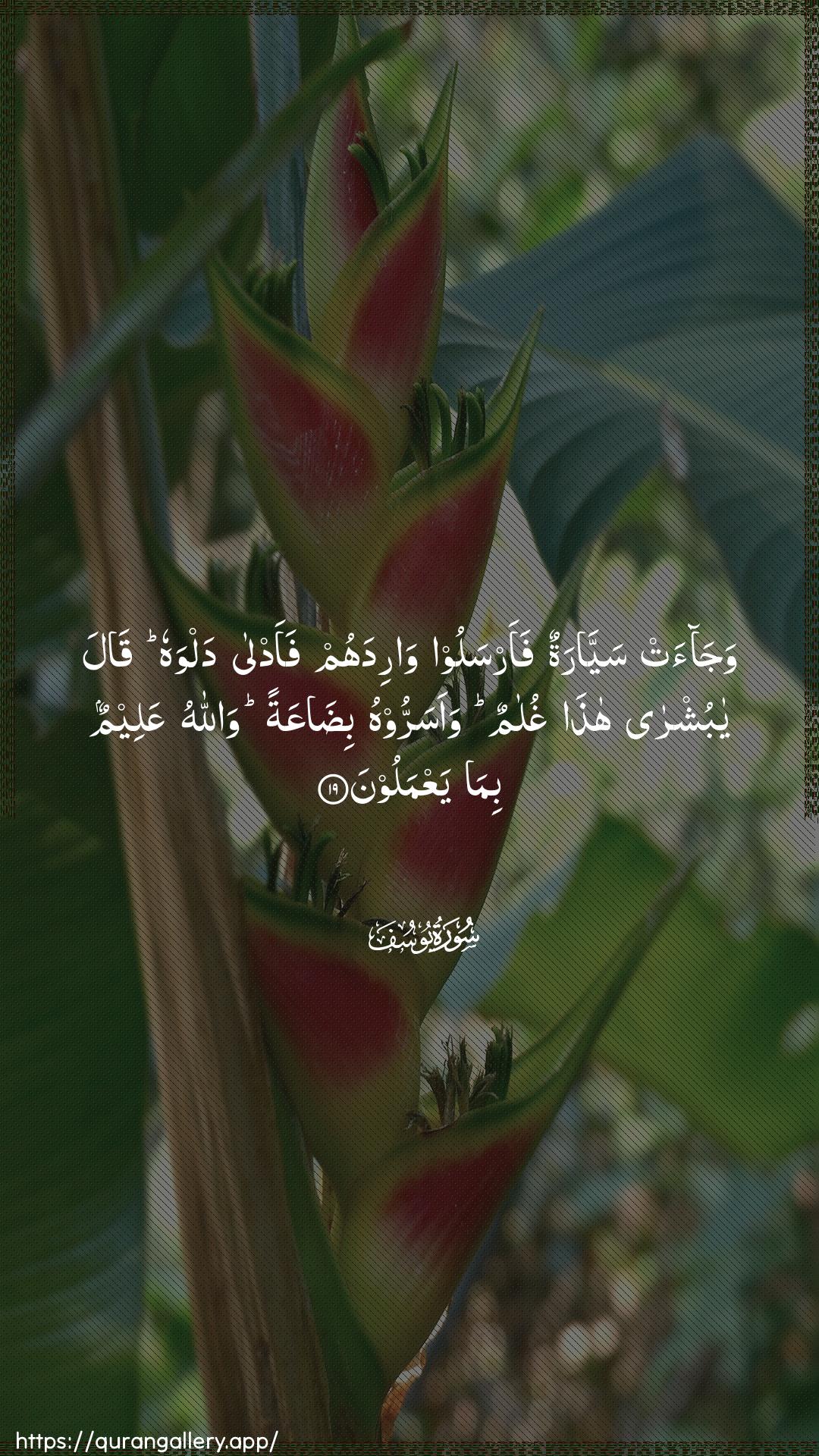 Surah Yusuf Ayah 19 of 12 HD Wallpaper: Download Beautiful vertical Quran Verse Image | Wajaat sayyaratun faarsaloo waridahumfaadla dalwahu qala ya bushra hathaghulamun waasarroohu bidaAAatan wallahuAAaleemun bima yaAAmaloon