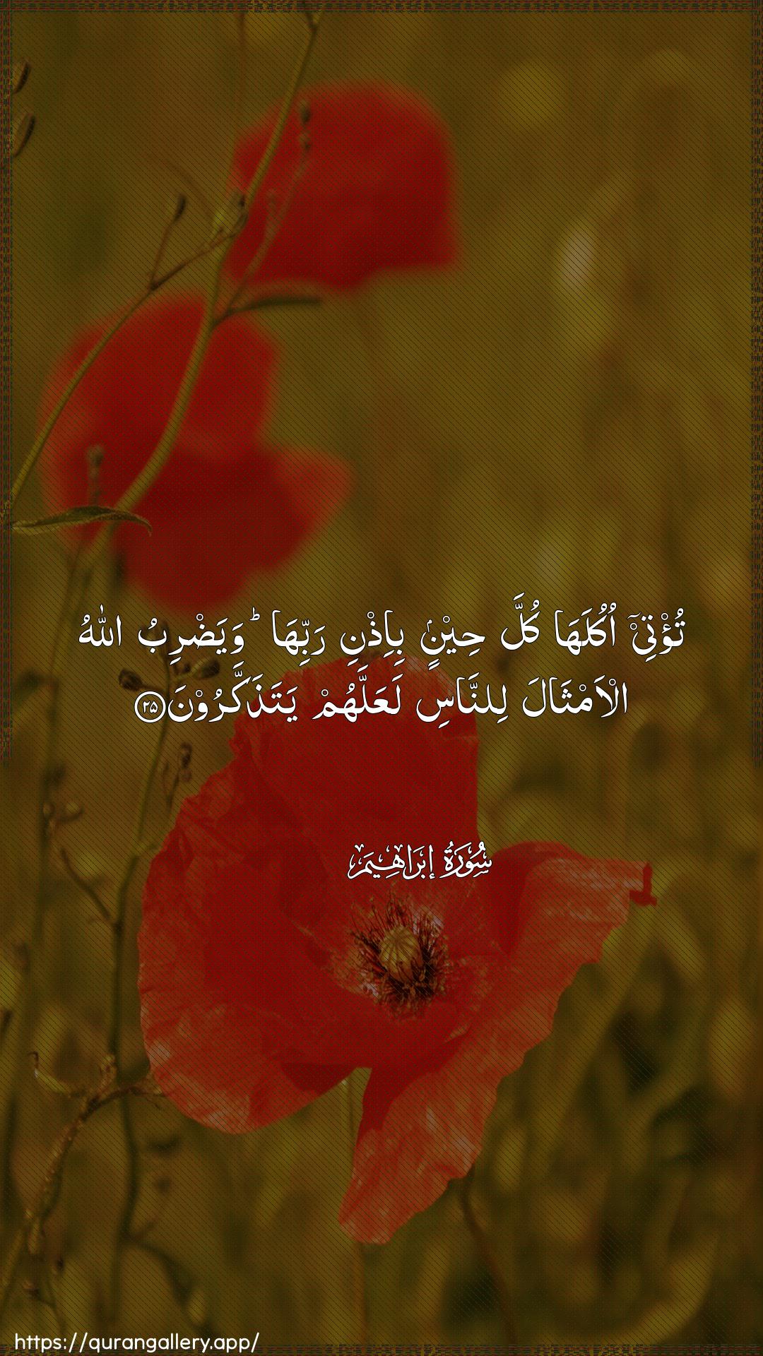 Surah Ibrahim Ayah 25 of 14 HD Wallpaper: Download Beautiful vertical Quran Verse Image | Tu/tee okulaha kulla heeninbi-ithni rabbiha wayadribu Allahual-amthala linnasi laAAallahum yatathakkaroon