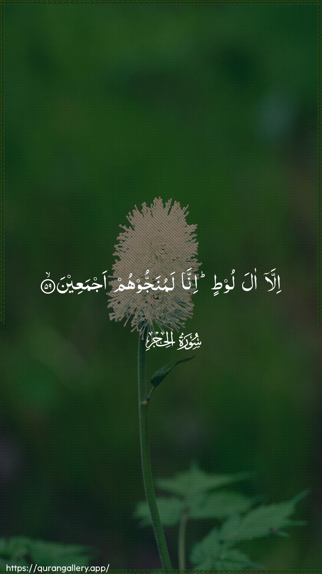 Surah Al-Hijr Ayah 59 of 15 HD Wallpaper: Download Beautiful vertical Quran Verse Image | Illa ala lootin innalamunajjoohum ajmaAAeen