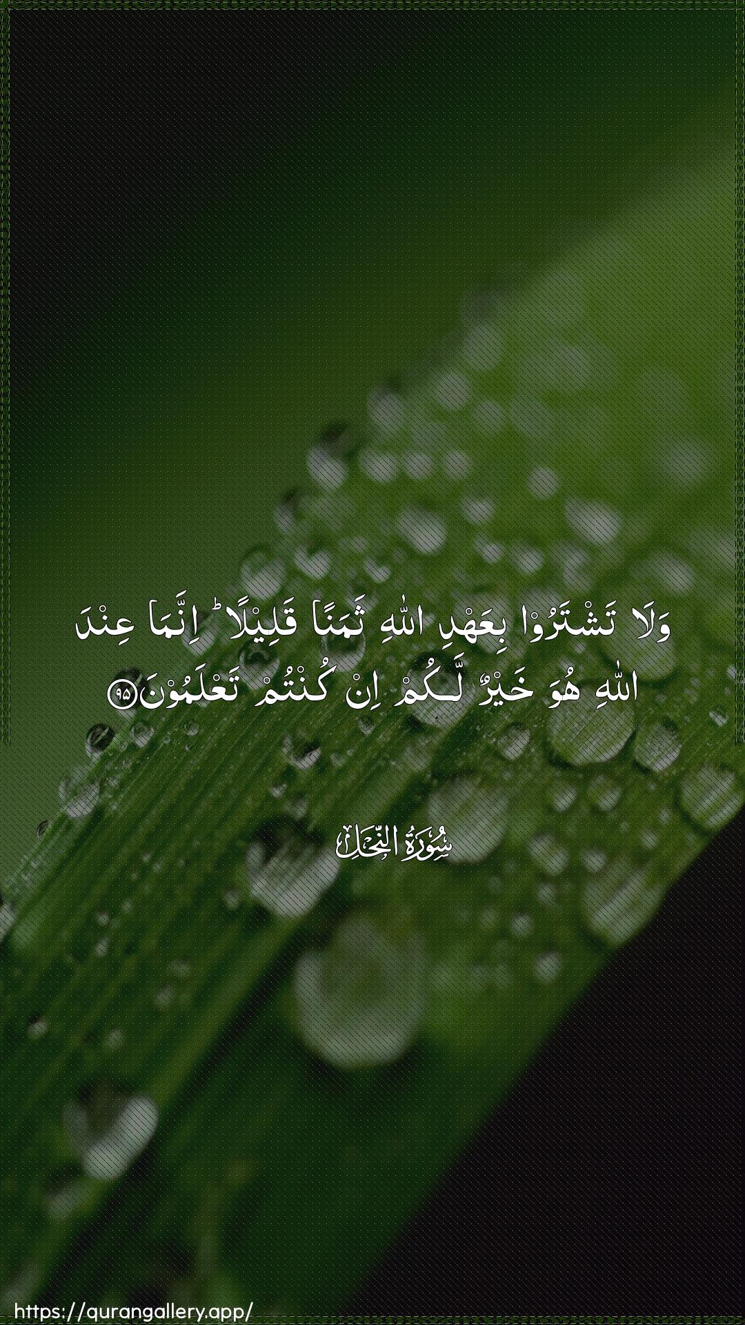 Surah An-Nahl Ayah 95 of 16 HD Wallpaper: Download Beautiful vertical Quran Verse Image | Wala tashtaroo biAAahdi Allahithamanan qaleelan innama AAinda Allahi huwa khayrunlakum in kuntum taAAlamoon