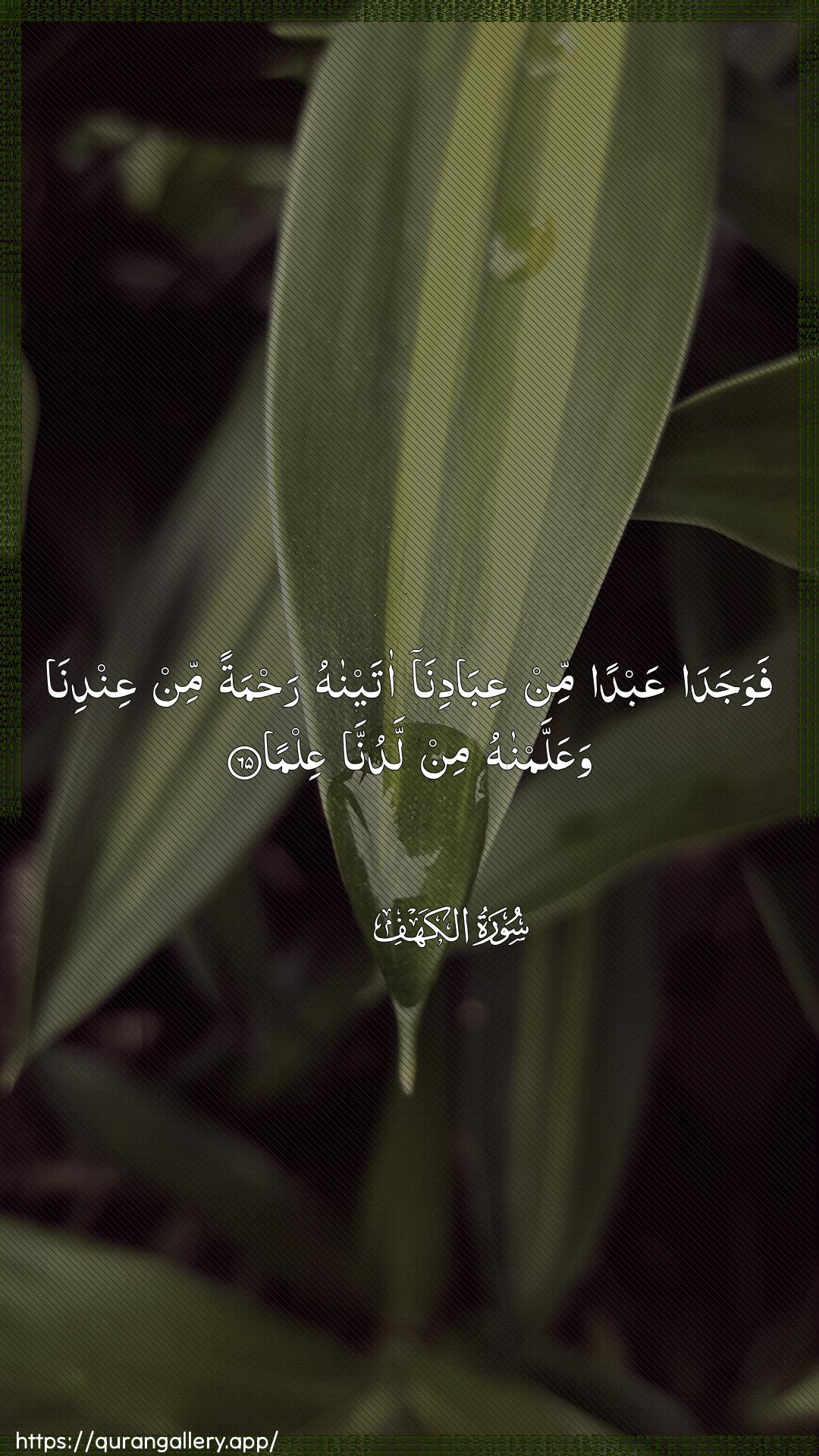 Surah Al-Kahf Ayah 65 of 18 HD Wallpaper: Download Beautiful vertical Quran Verse Image | Fawajada AAabdan min AAibadinaataynahu rahmatan min AAindinawaAAallamnahu min ladunna AAilma