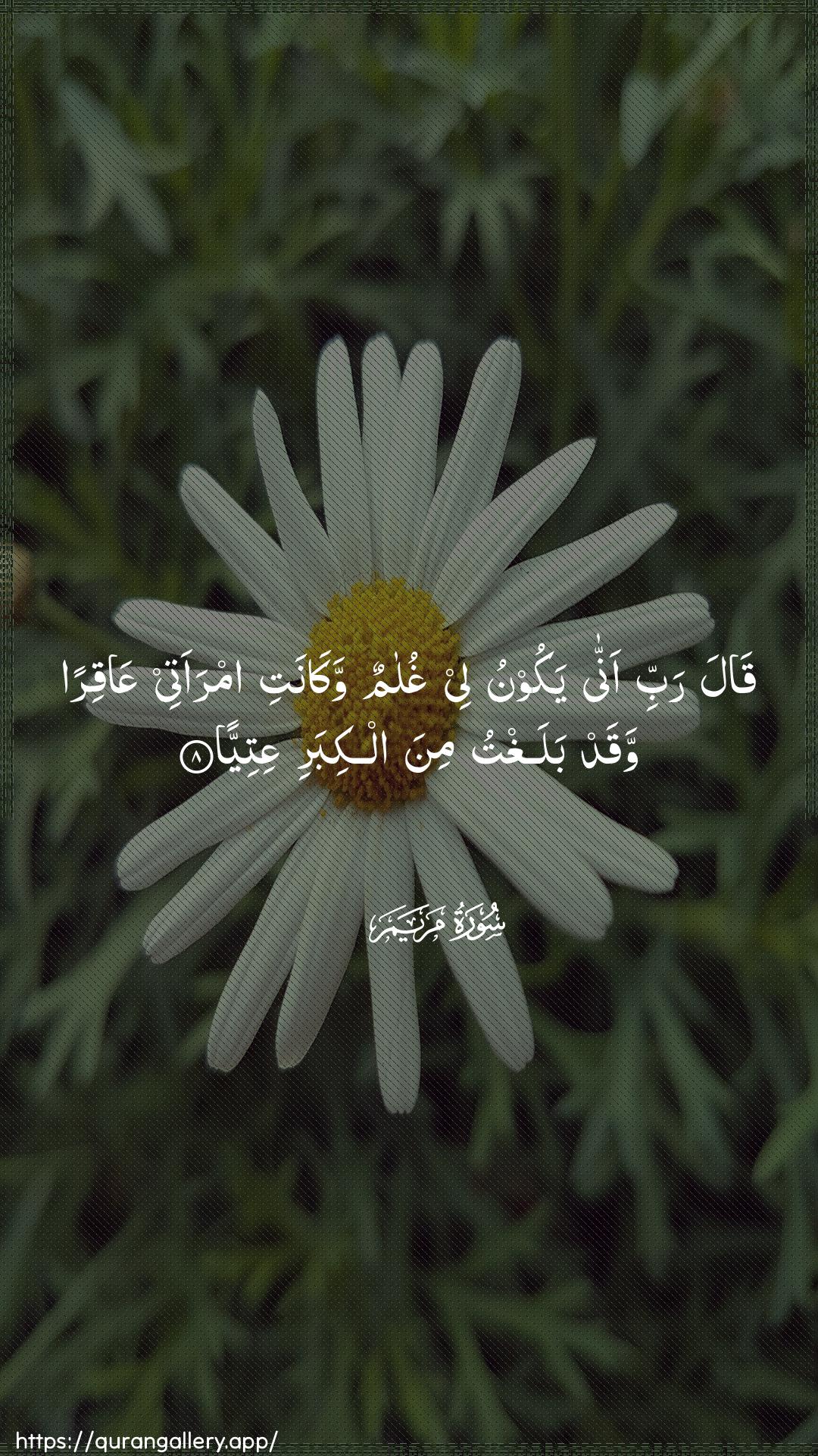 Surah Maryam Ayah 8 of 19 HD Wallpaper: Download Beautiful vertical Quran Verse Image | Qala rabbi anna yakoonu leeghulamun wakanati imraatee AAaqiran waqadbalaghtu mina alkibari AAitiyya