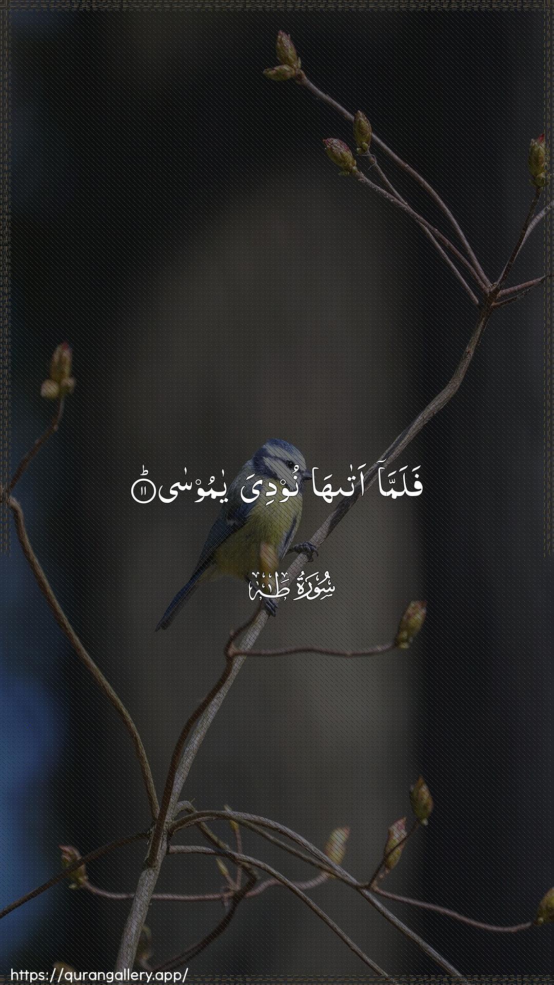 Surah Taa-Haa Ayah 11 of 20 HD Wallpaper: Download Beautiful vertical Quran Verse Image | Falamma ataha noodiya yamoosa