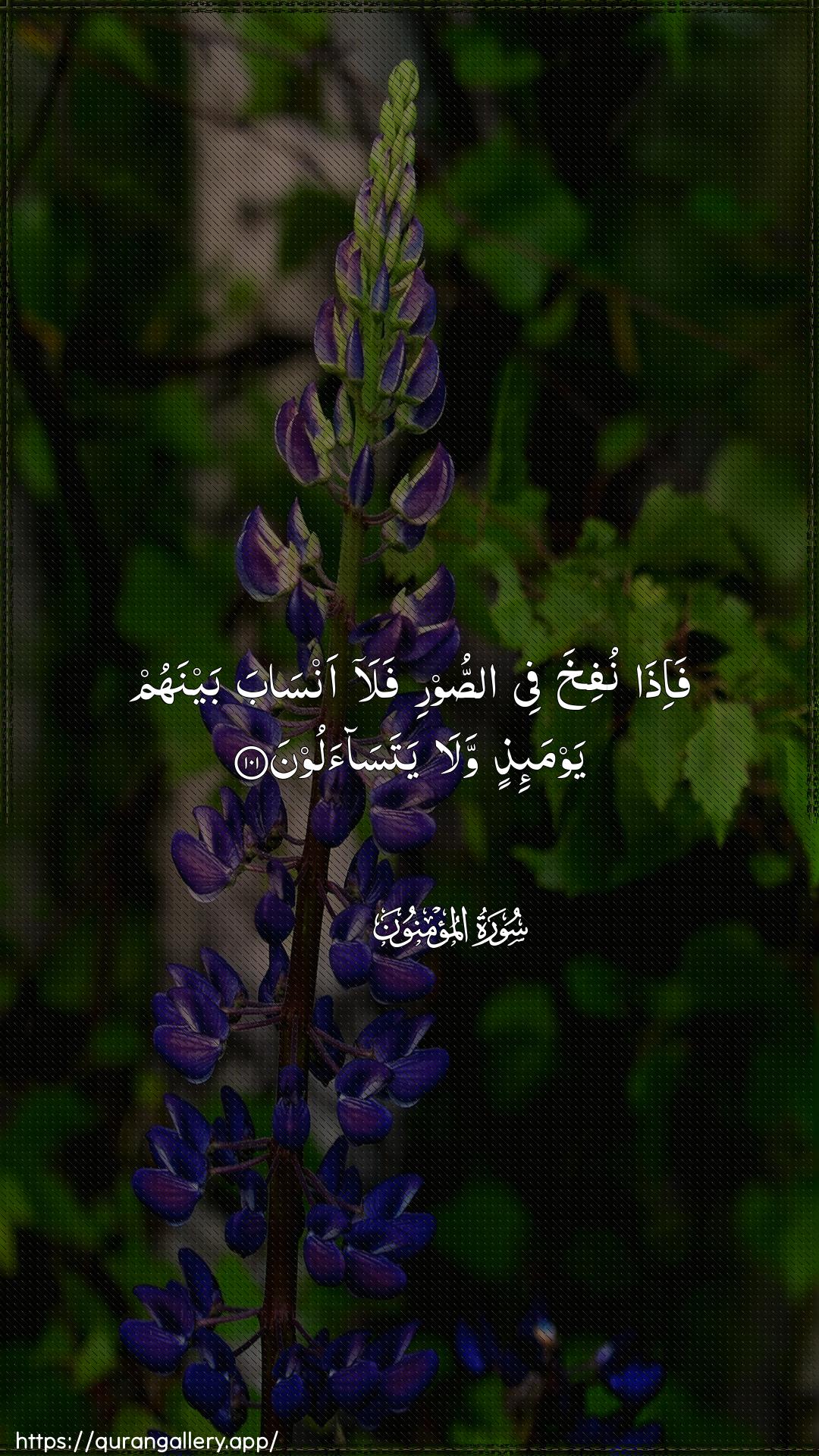 Surah Al-Muminoon Ayah 101 of 23 HD Wallpaper: Download Beautiful vertical Quran Verse Image | Fa-itha nufikha fee assoorifala ansaba baynahum yawma-ithin walayatasaaloon