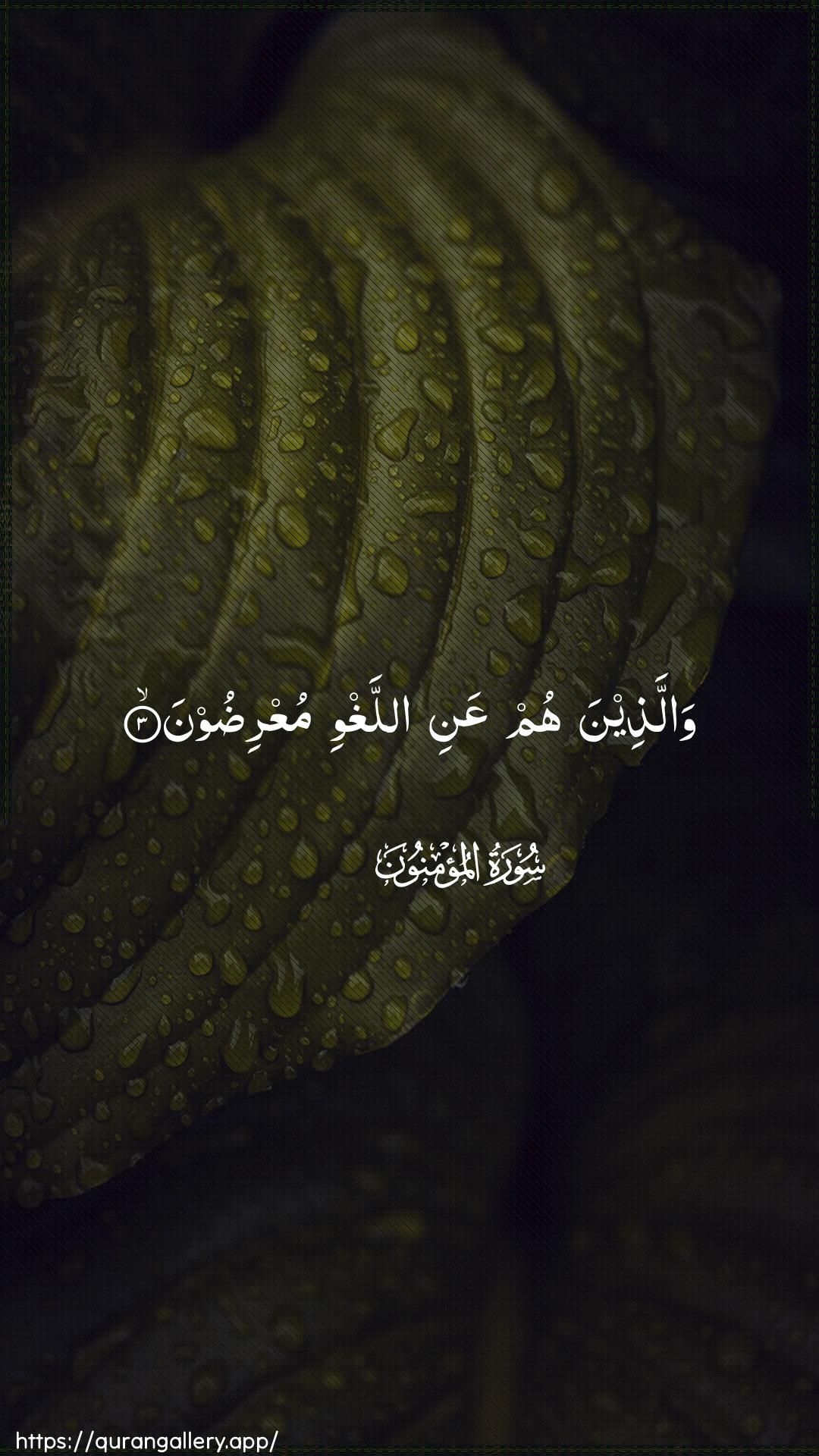 Surah Al-Muminoon Ayah 3 of 23 HD Wallpaper: Download Beautiful vertical Quran Verse Image | Wallatheena hum AAani allaghwimuAAridoon