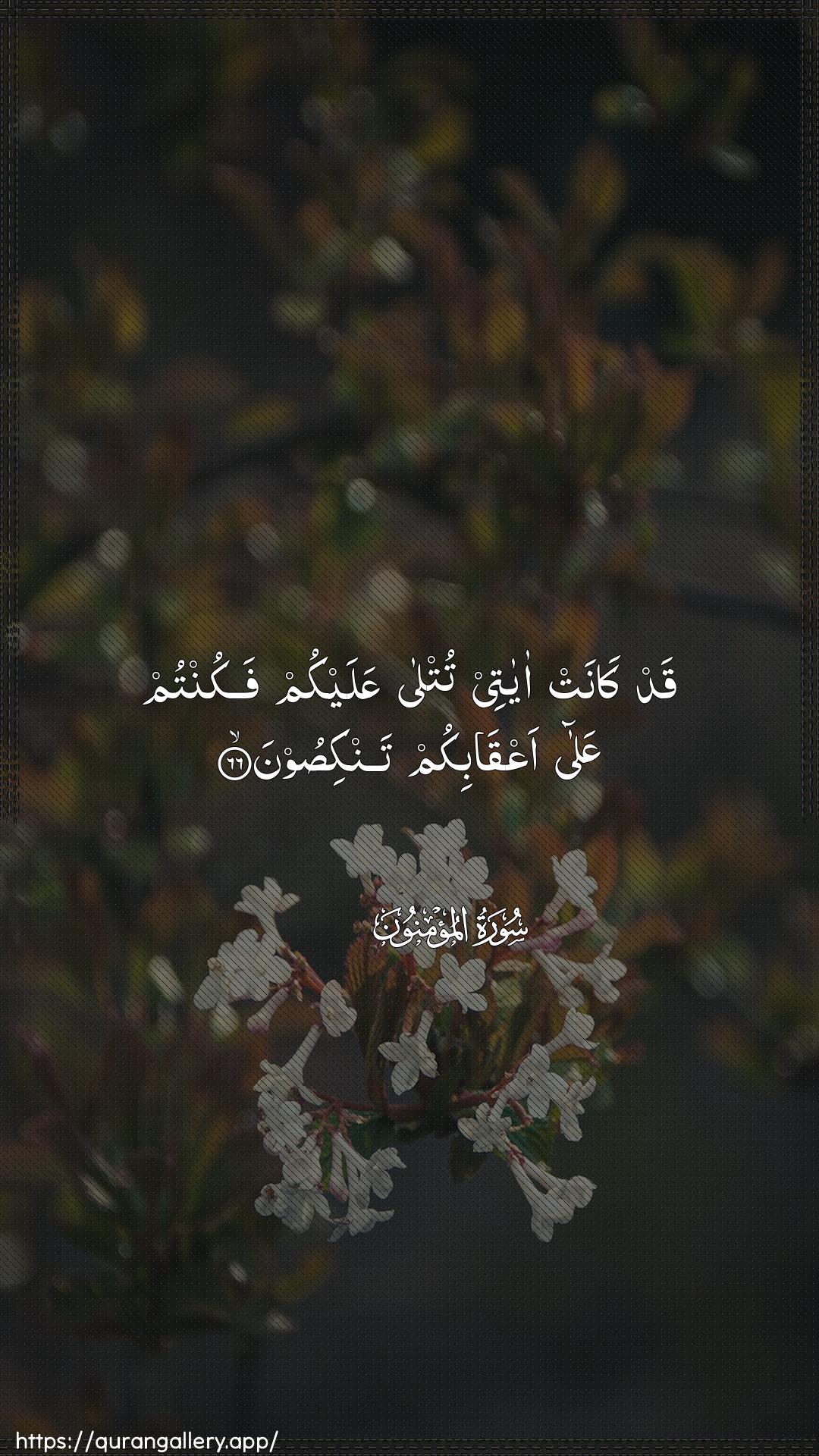 Surah Al-Muminoon Ayah 66 of 23 HD Wallpaper: Download Beautiful vertical Quran Verse Image | Qad kanat ayatee tutlaAAalaykum fakuntum AAala aAAqabikum tankisoon