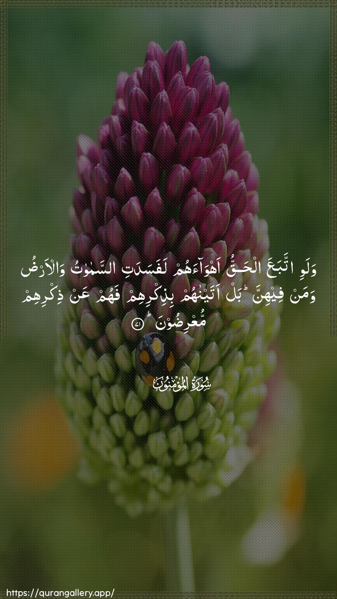 Surah Al-Muminoon Ayah 71 of 23 HD Wallpaper: Download Beautiful vertical Quran Verse Image | Walawi ittabaAAa alhaqqu ahwaahumlafasadati assamawatu wal-arduwaman feehinna bal ataynahum bithikrihim fahum AAanthikrihim muAAridoon