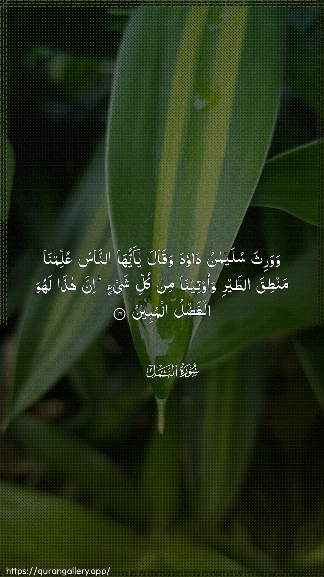 Surah An-Naml Ayah 16 of 27 HD Wallpaper: Download Beautiful vertical Quran Verse Image | Wawaritha sulaymanu dawoodawaqala ya ayyuha annasuAAullimna mantiqa attayri waooteenamin kulli shay-in inna hatha lahuwa alfadlualmubeen