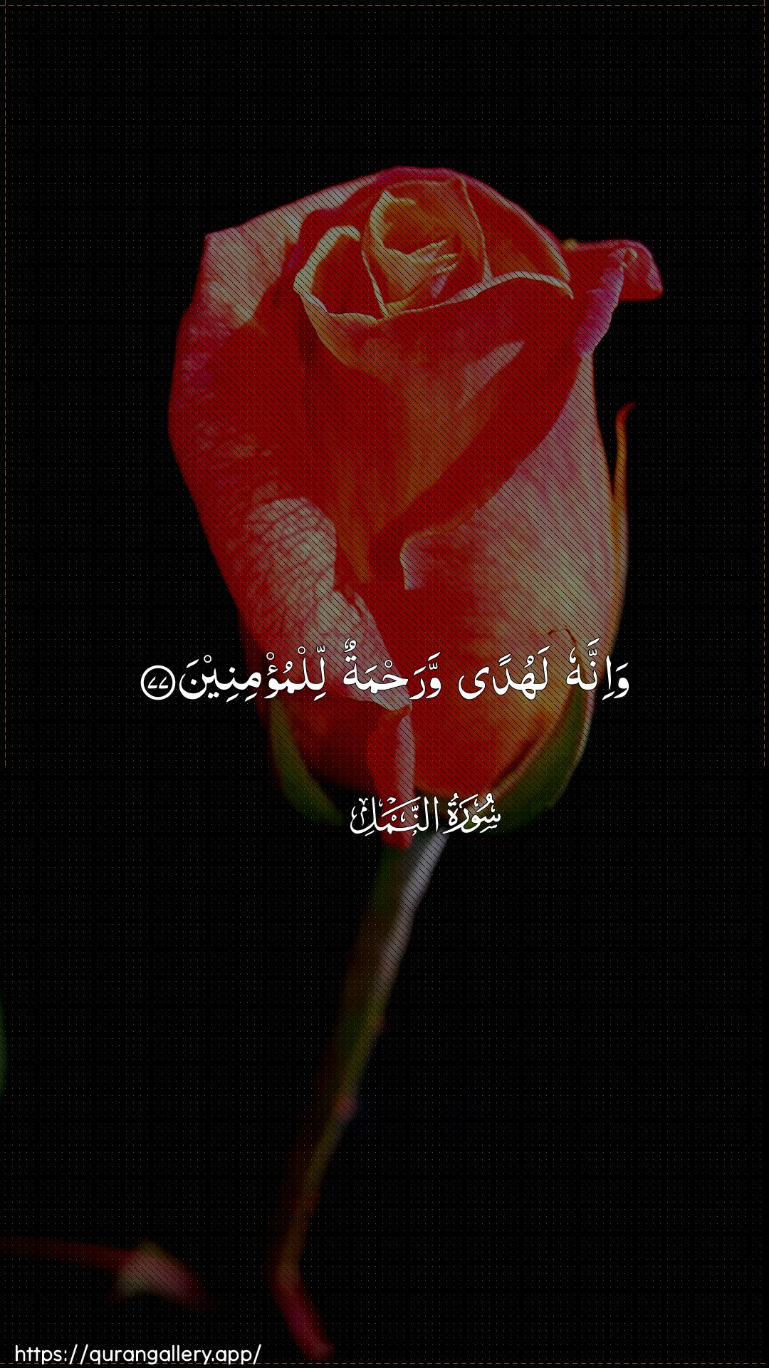 Surah An-Naml Ayah 77 of 27 HD Wallpaper: Download Beautiful vertical Quran Verse Image | Wa-innahu lahudan warahmatunlilmu/mineen