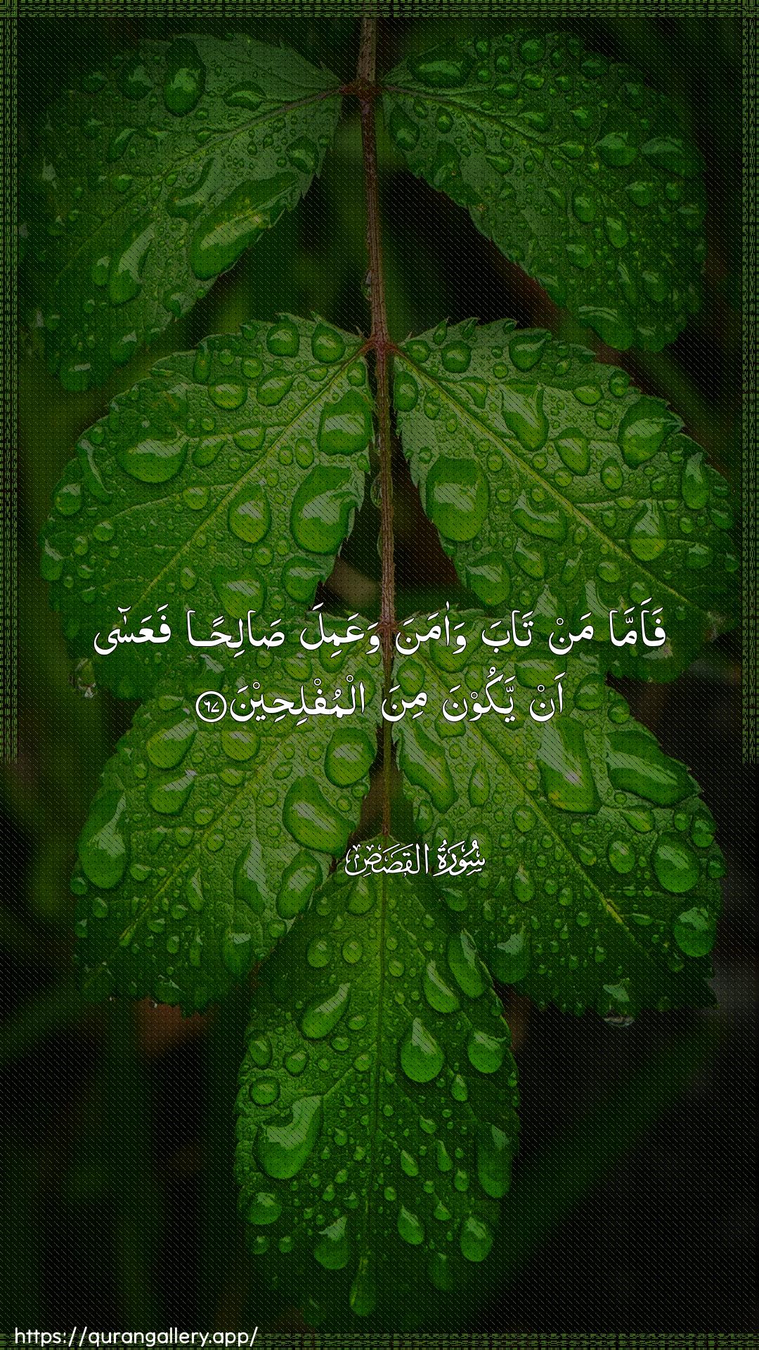 Surah Al-Qasas Ayah 67 of 28 HD Wallpaper: Download Beautiful vertical Quran Verse Image | Faamma man taba waamanawaAAamila salihan faAAasa an yakoona minaalmufliheen