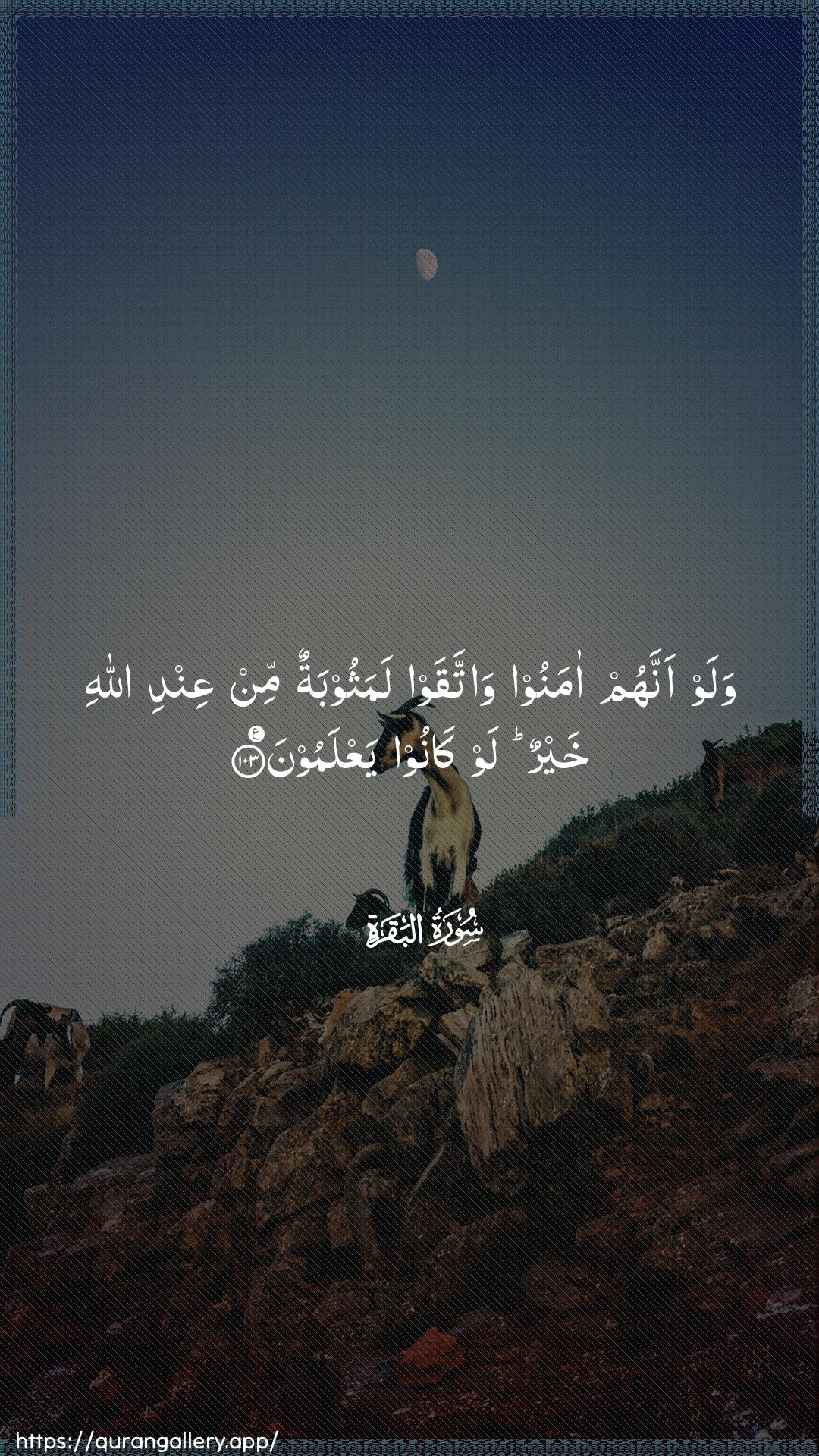 Surah Al-Baqara Ayah 103 of 2 HD Wallpaper: Download Beautiful vertical Quran Verse Image | Walaw annahum amanoo wattaqawlamathoobatun min AAindi Allahi khayrun law kanooyaAAlamoon