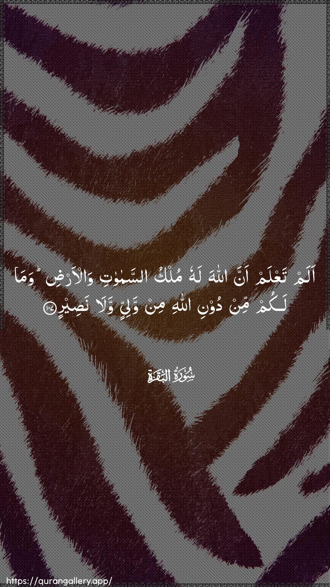 Surah Al-Baqara Ayah 107 of 2 HD Wallpaper: Download Beautiful vertical Quran Verse Image | Alam taAAlam anna Allaha lahu mulkuassamawati wal-ardi wamalakum min dooni Allahi min waliyyin wala naseer