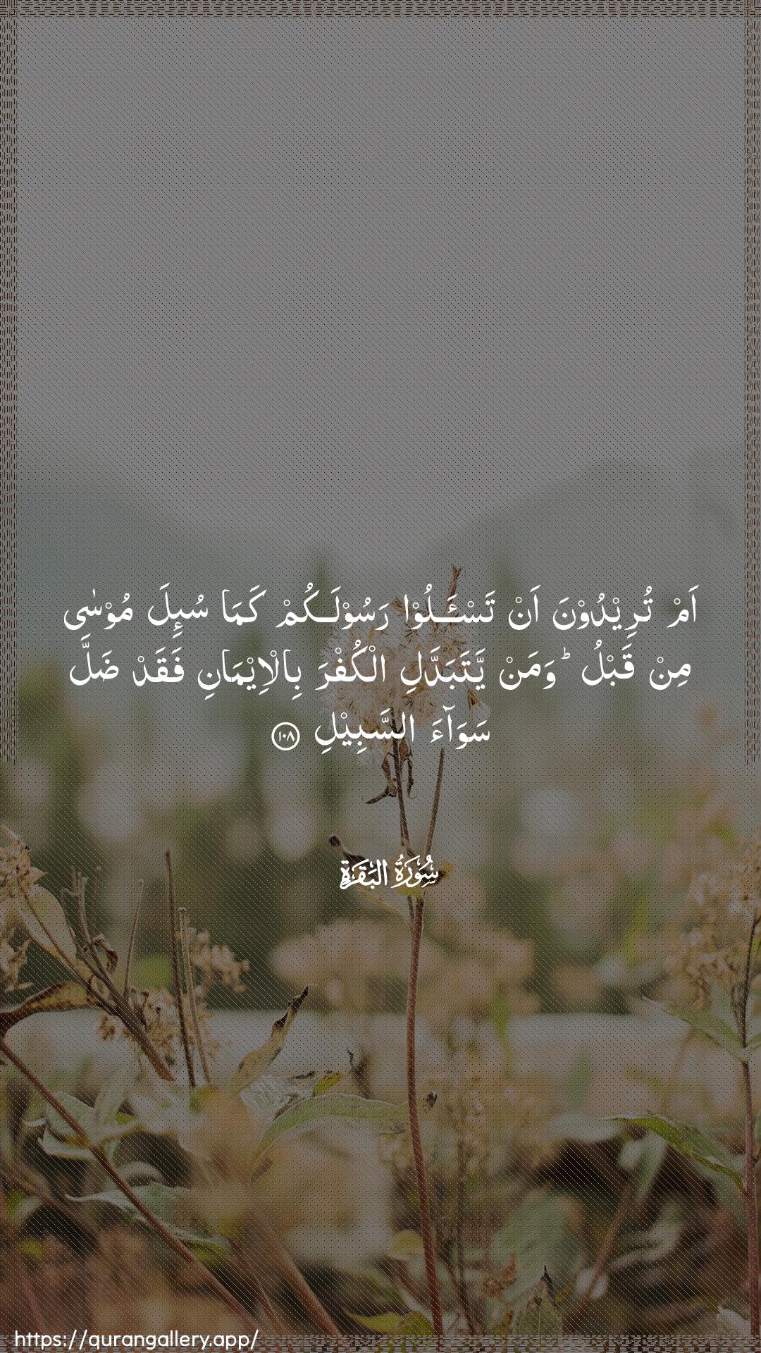 Surah Al-Baqara Ayah 108 of 2 HD Wallpaper: Download Beautiful vertical Quran Verse Image | Am tureedoona an tas-aloo rasoolakum kamasu-ila moosa min qablu waman yatabaddali alkufra bil-eemanifaqad dalla sawaa assabeel