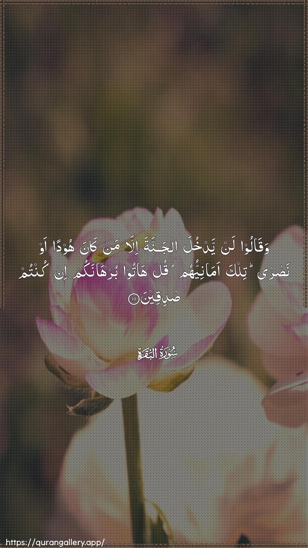 Surah Al-Baqara Ayah 111 of 2 HD Wallpaper: Download Beautiful vertical Quran Verse Image | Waqaloo lan yadkhula aljannata illaman kana hoodan aw nasara tilka amaniyyuhumqul hatoo burhanakum in kuntum sadiqeen