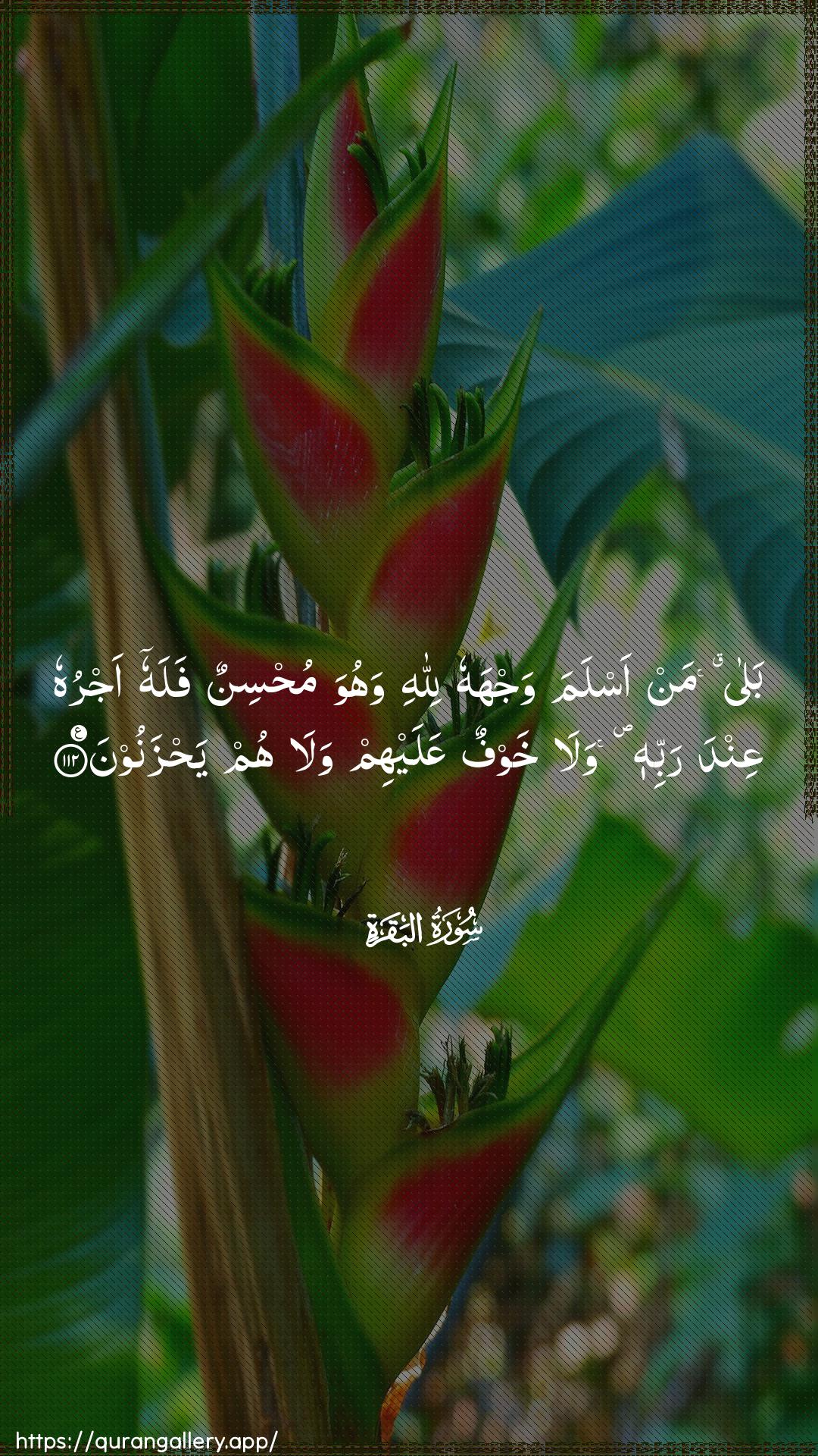 Surah Al-Baqara Ayah 112 of 2 HD Wallpaper: Download Beautiful vertical Quran Verse Image | Bala man aslama wajhahu lillahiwahuwa muhsinun falahu ajruhu AAinda rabbihi walakhawfun AAalayhim wala hum yahzanoon