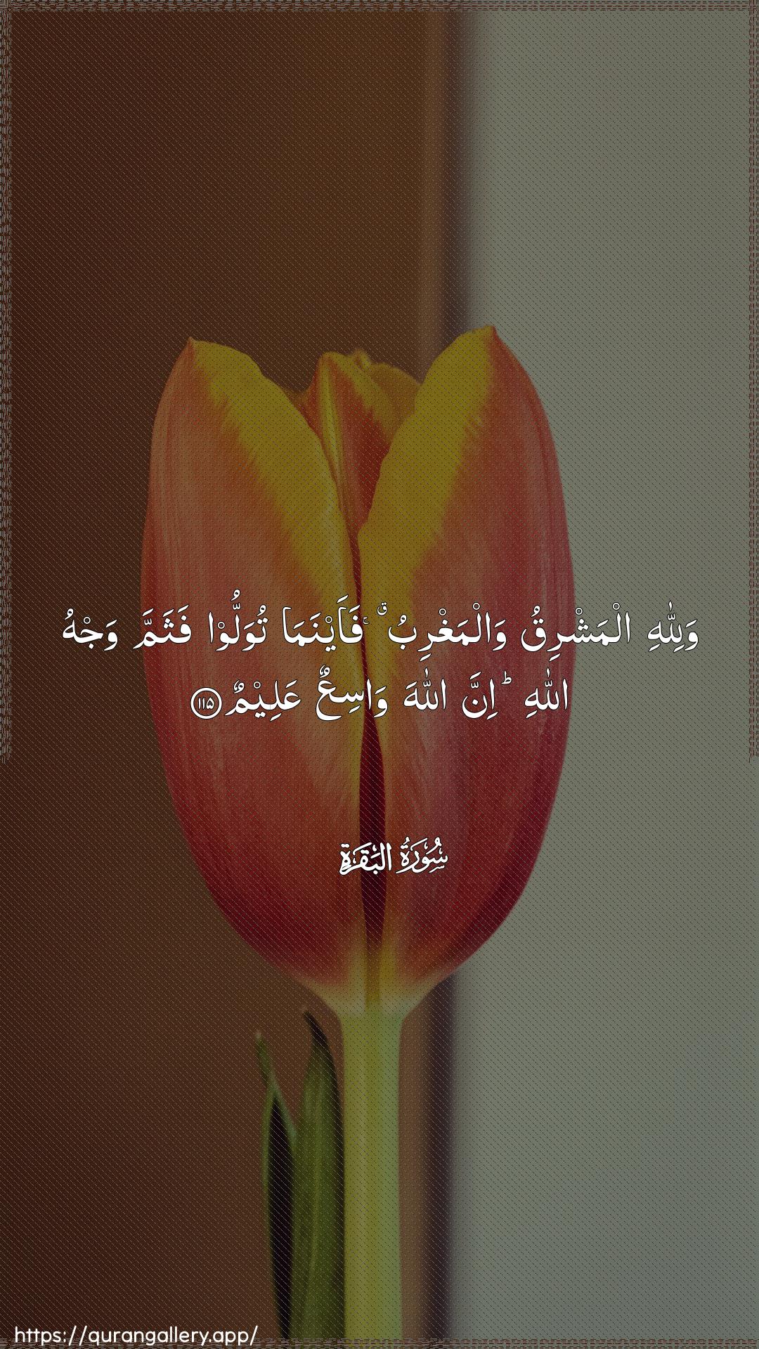 Surah Al-Baqara Ayah 115 of 2 HD Wallpaper: Download Beautiful vertical Quran Verse Image | Walillahi almashriqu walmaghribufaaynama tuwalloo fathamma wajhu Allahi inna AllahawasiAAun AAaleem