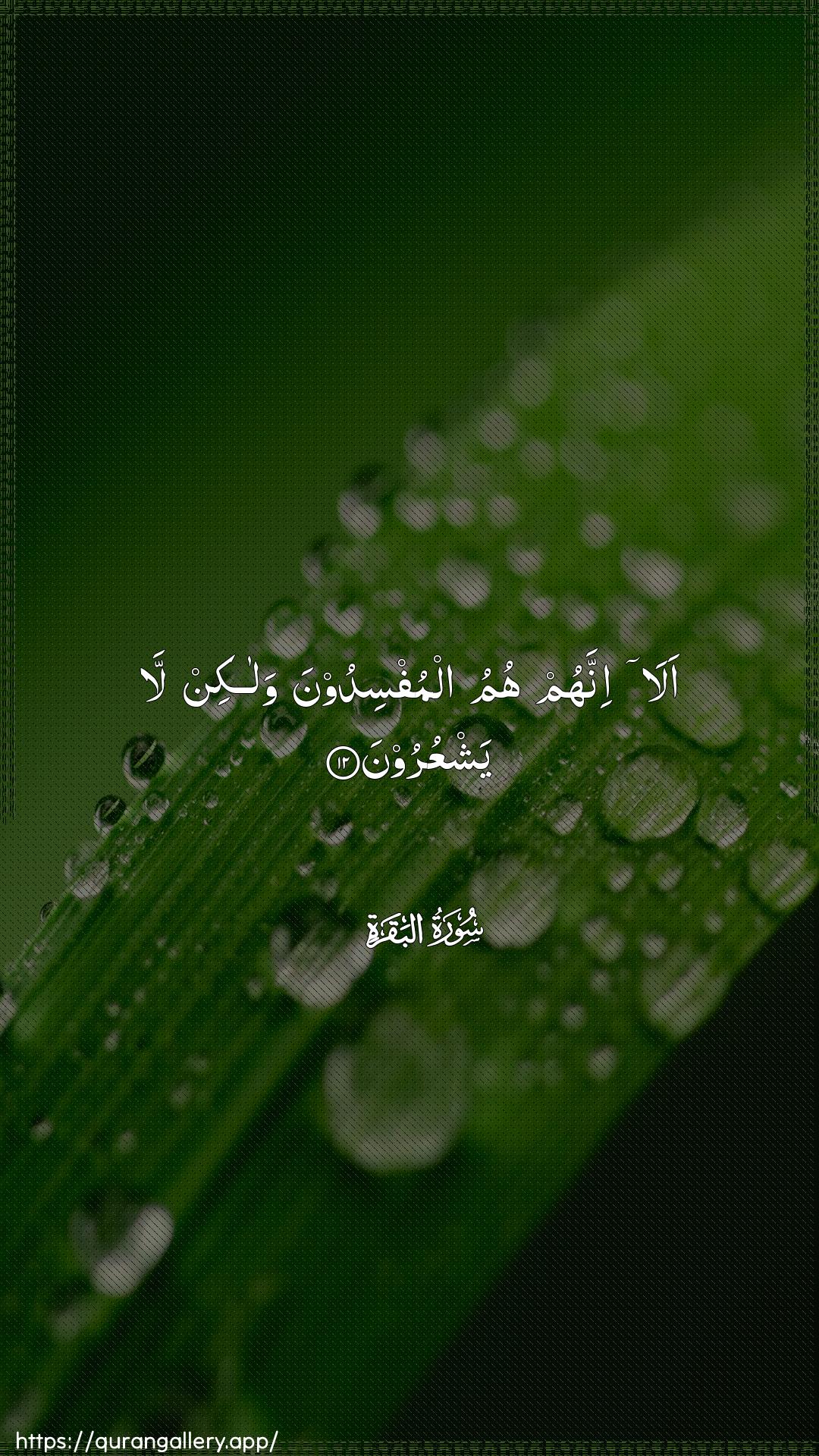 Surah Al-Baqara Ayah 12 of 2 HD Wallpaper: Download Beautiful vertical Quran Verse Image | Ala innahum humu almufsidoona walakinla yashAAuroon