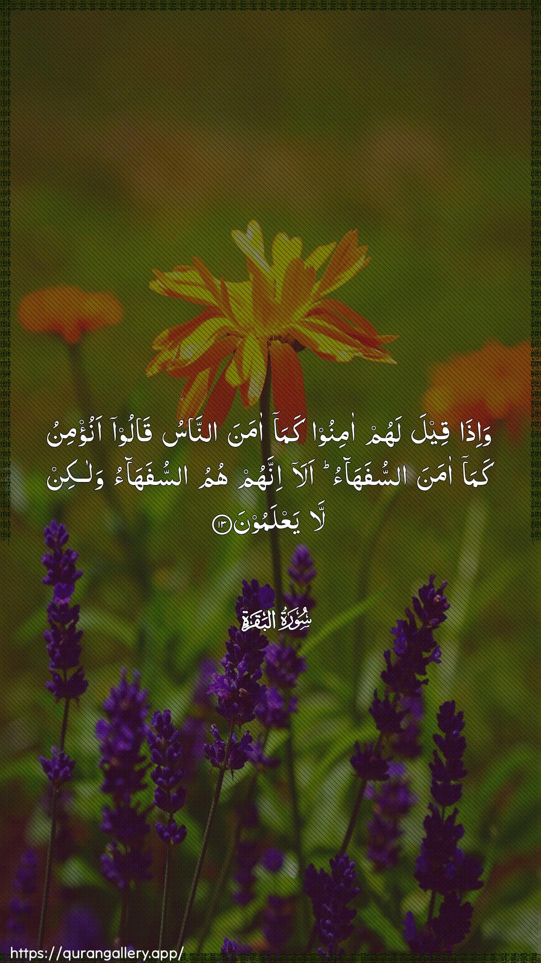 Surah Al-Baqara Ayah 13 of 2 HD Wallpaper: Download Beautiful vertical Quran Verse Image | Wa-itha qeela lahum aminoo kamaamana annasu qaloo anu/minu kamaamana assufahao ala innahum humu assufahaowalakin la yaAAlamoon