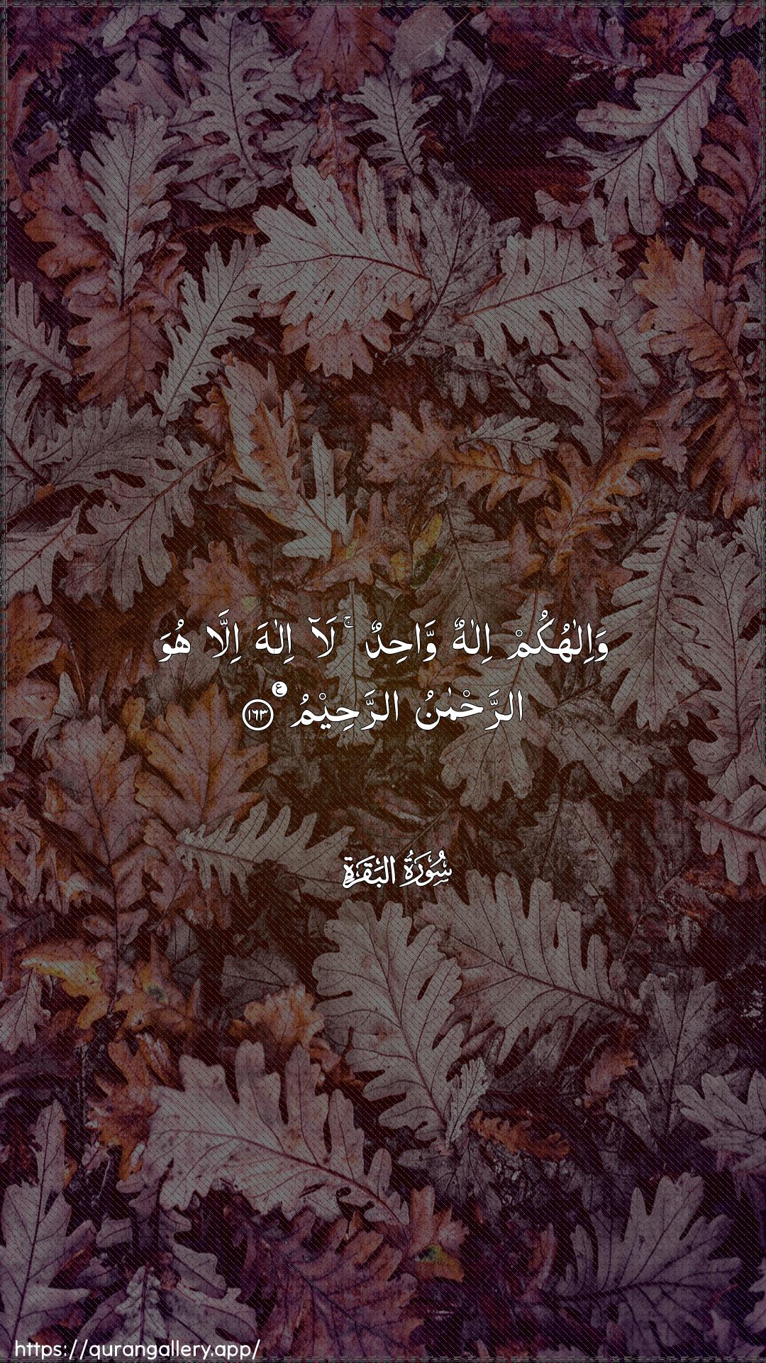 Surah Al-Baqara Ayah 163 of 2 HD Wallpaper: Download Beautiful vertical Quran Verse Image | Wa-ilahukum ilahun wahidunla ilaha illa huwa arrahmanuarraheem