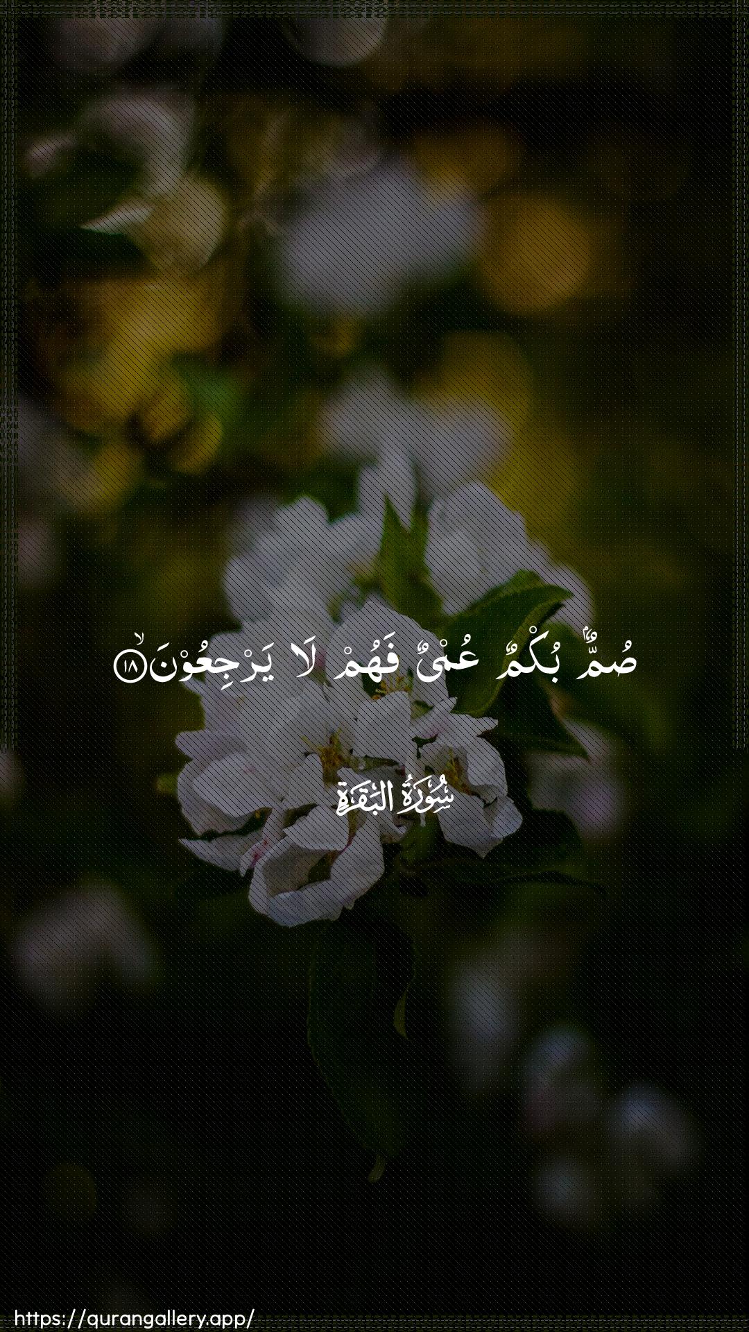 Surah Al-Baqara Ayah 18 of 2 HD Wallpaper: Download Beautiful vertical Quran Verse Image | Summun bukmun AAumyun fahum layarjiAAoon