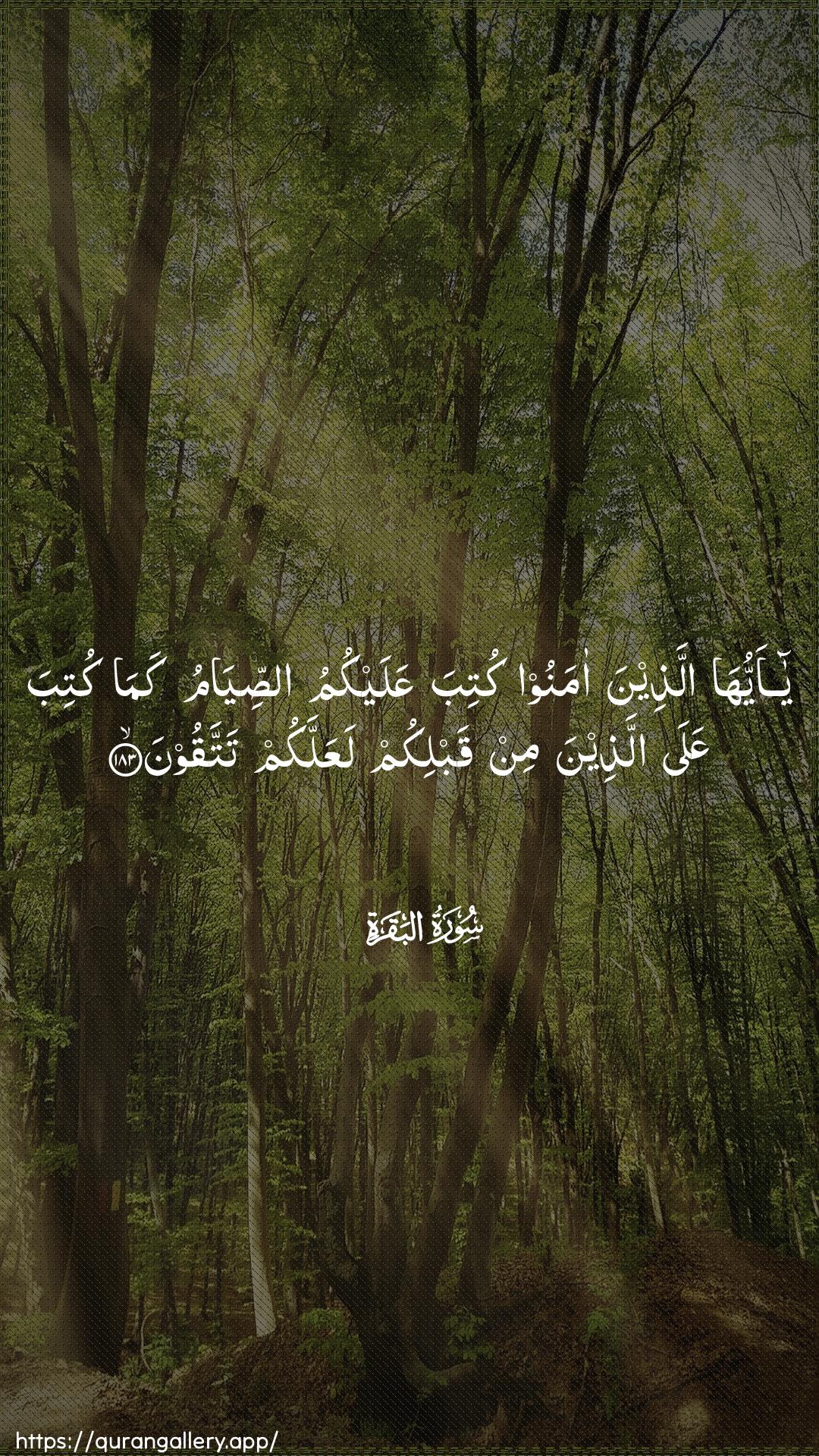 Surah Al-Baqara Ayah 183 of 2 HD Wallpaper: Download Beautiful vertical Quran Verse Image | Ya ayyuha allatheena amanookutiba AAalaykumu assiyamu kamakutiba AAala allatheena min qablikum laAAallakumtattaqoon