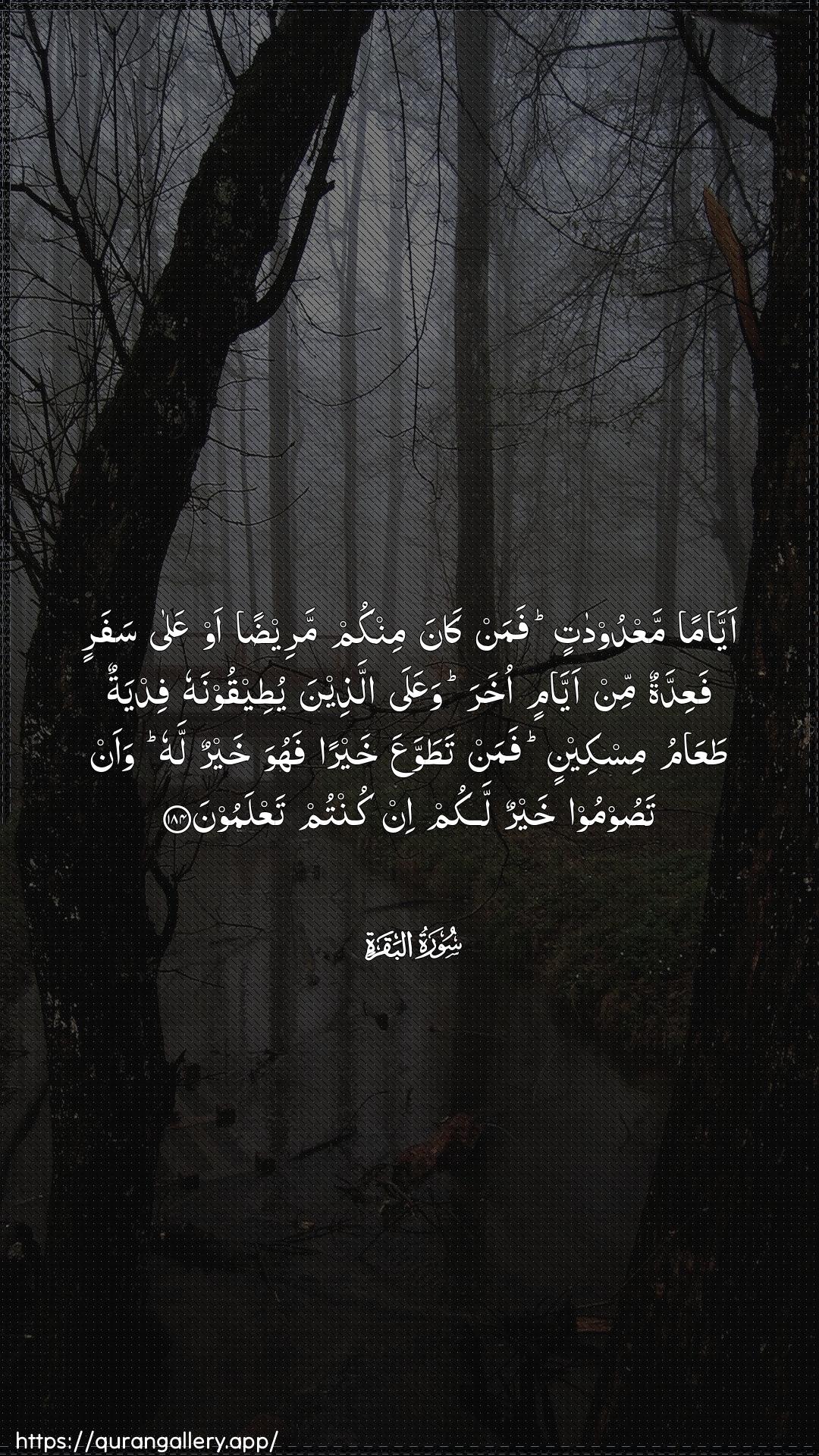 Surah Al-Baqara Ayah 184 of 2 HD Wallpaper: Download Beautiful vertical Quran Verse Image | Ayyaman maAAdoodatin faman kanaminkum mareedan aw AAala safarin faAAiddatun minayyamin okhara waAAala allatheena yuteeqoonahufidyatun taAAamu miskeenin faman tatawwaAAakhayran fahuwa khayrun lahu waan tasoomoo khayrun lakum inkuntum taAAlamoon