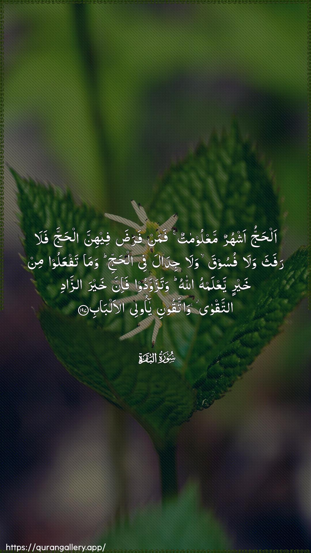 Surah Al-Baqara Ayah 197 of 2 HD Wallpaper: Download Beautiful vertical Quran Verse Image | Alhajju ashhurun maAAloomatunfaman farada feehinna alhajja fala rafathawala fusooqa wala jidala fee alhajjiwama tafAAaloo min khayrin yaAAlamhu Allahuwatazawwadoo fa-inna khayra azzadi attaqwawattaqooni ya olee al-albab