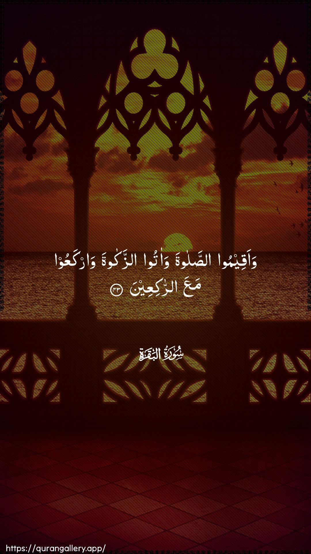 Surah Al-Baqara Ayah 43 of 2 HD Wallpaper: Download Beautiful vertical Quran Verse Image | Waaqeemoo assalata waatooazzakata warkaAAoo maAAa arrakiAAeen