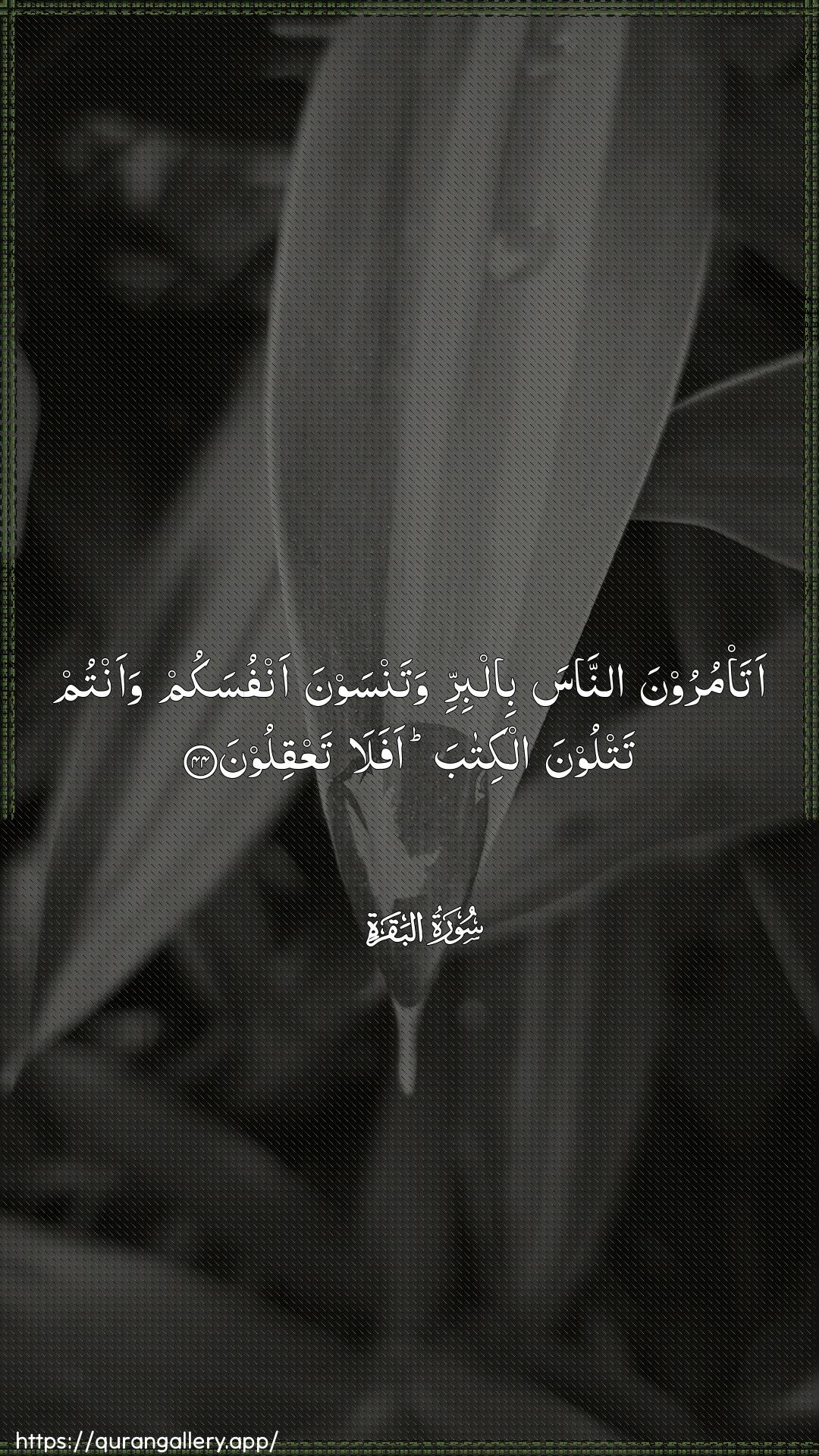 Surah Al-Baqara Ayah 44 of 2 HD Wallpaper: Download Beautiful vertical Quran Verse Image | Ata/muroona annasa bilbirriwatansawna anfusakum waantum tatloona alkitaba afalataAAqiloon