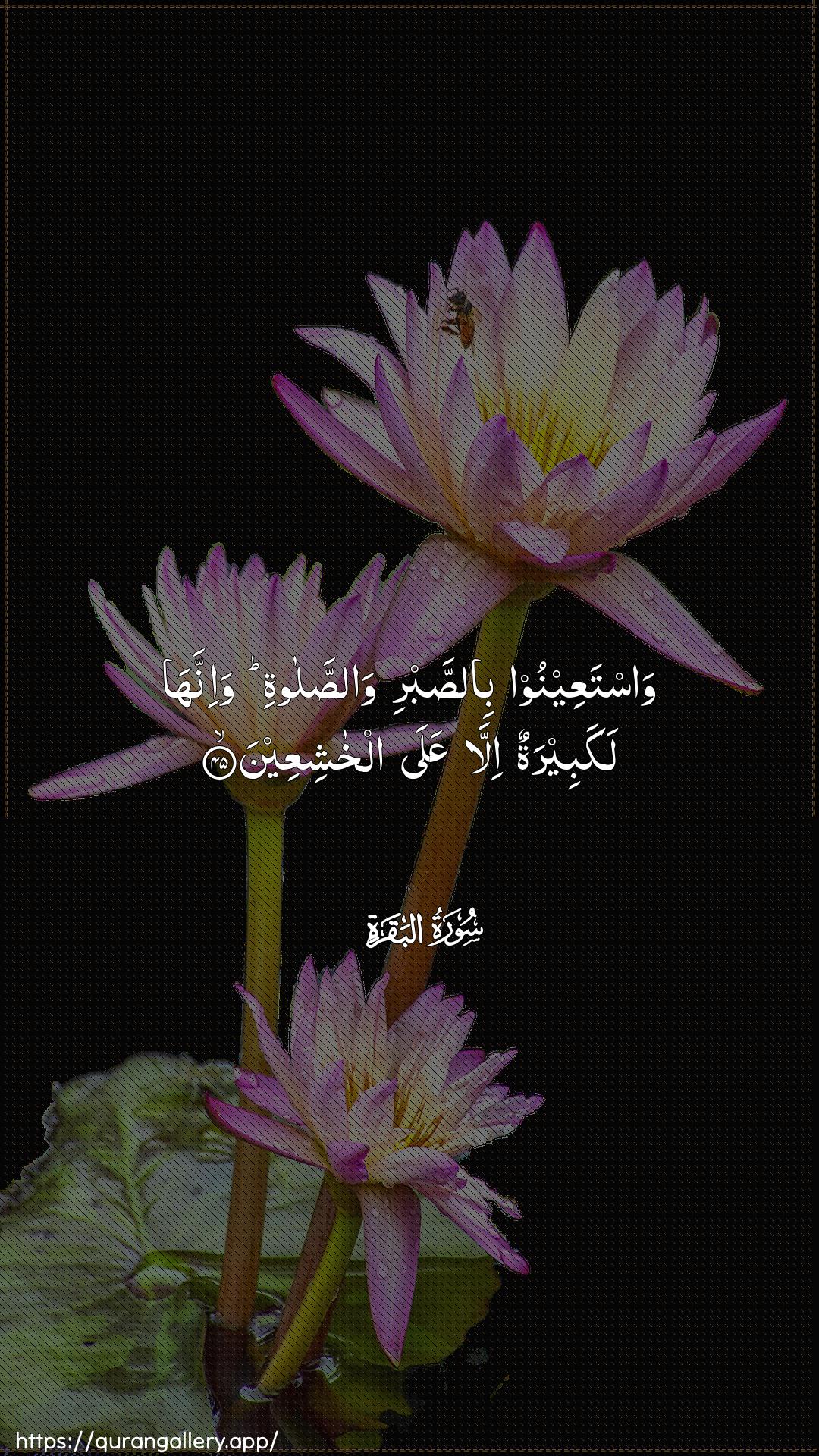 Surah Al-Baqara Ayah 45 of 2 HD Wallpaper: Download Beautiful vertical Quran Verse Image | WastaAAeenoo bissabriwassalati wa-innaha lakabeeratunilla AAala alkhashiAAeen