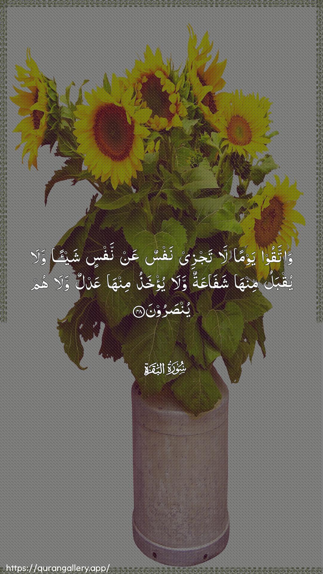 Surah Al-Baqara Ayah 48 of 2 HD Wallpaper: Download Beautiful vertical Quran Verse Image | Wattaqoo yawman la tajzeenafsun AAan nafsin shay-an wala yuqbalu minha shafaAAatunwala yu/khathu minha AAadlun wala humyunsaroon