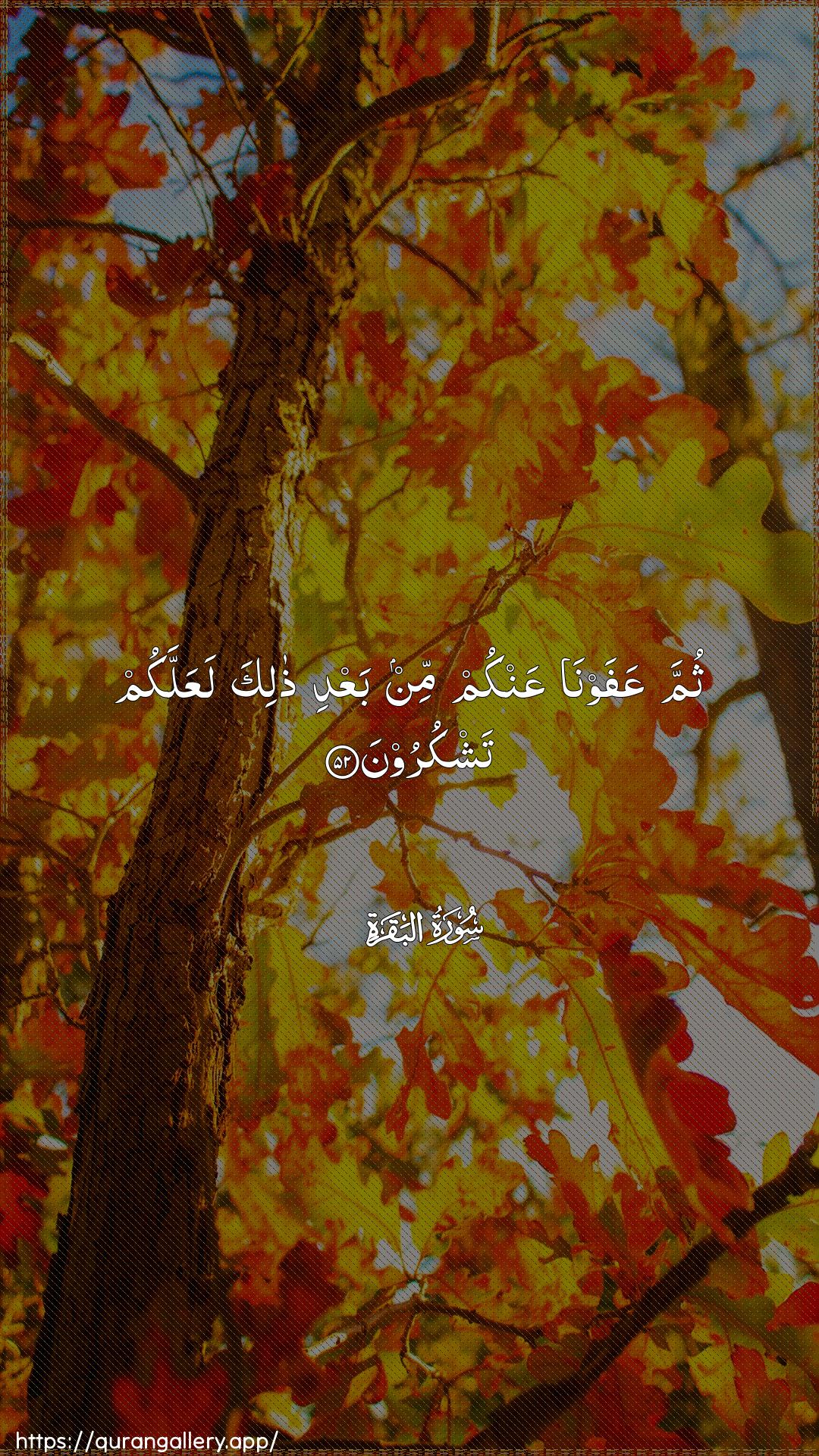 Surah Al-Baqara Ayah 52 of 2 HD Wallpaper: Download Beautiful vertical Quran Verse Image | Thumma AAafawna AAankum min baAAdi thalikalaAAallakum tashkuroon