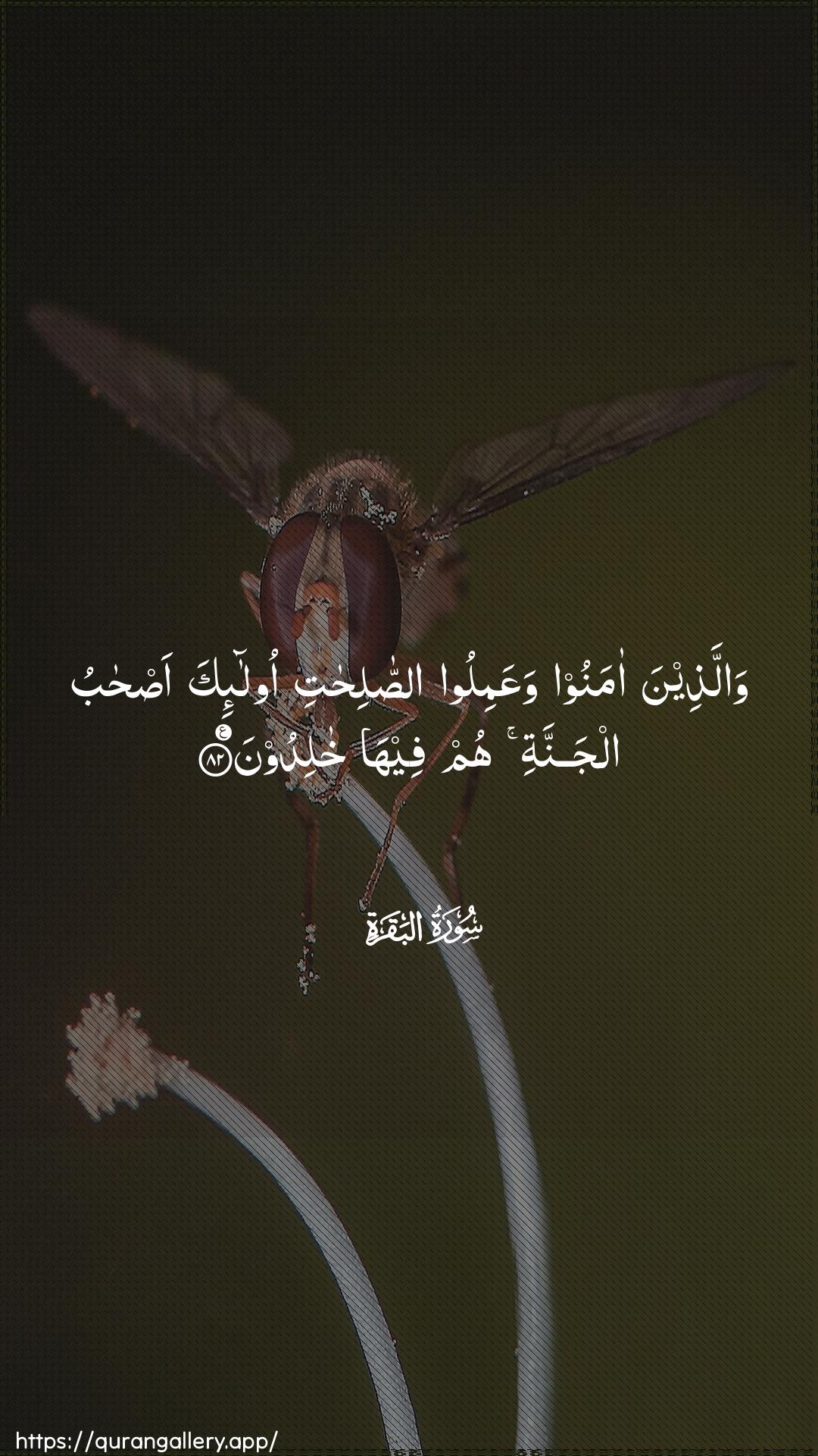 Surah Al-Baqara Ayah 82 of 2 HD Wallpaper: Download Beautiful vertical Quran Verse Image | Wallatheena amanoowaAAamiloo assalihati ola-ika as-habualjannati hum feeha khalidoon