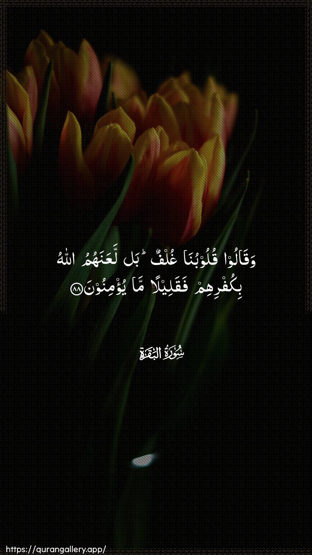 Surah Al-Baqara Ayah 88 of 2 HD Wallpaper: Download Beautiful vertical Quran Verse Image | Waqaloo quloobuna ghulfun ballaAAanahumu Allahu bikufrihim faqaleelan mayu/minoon