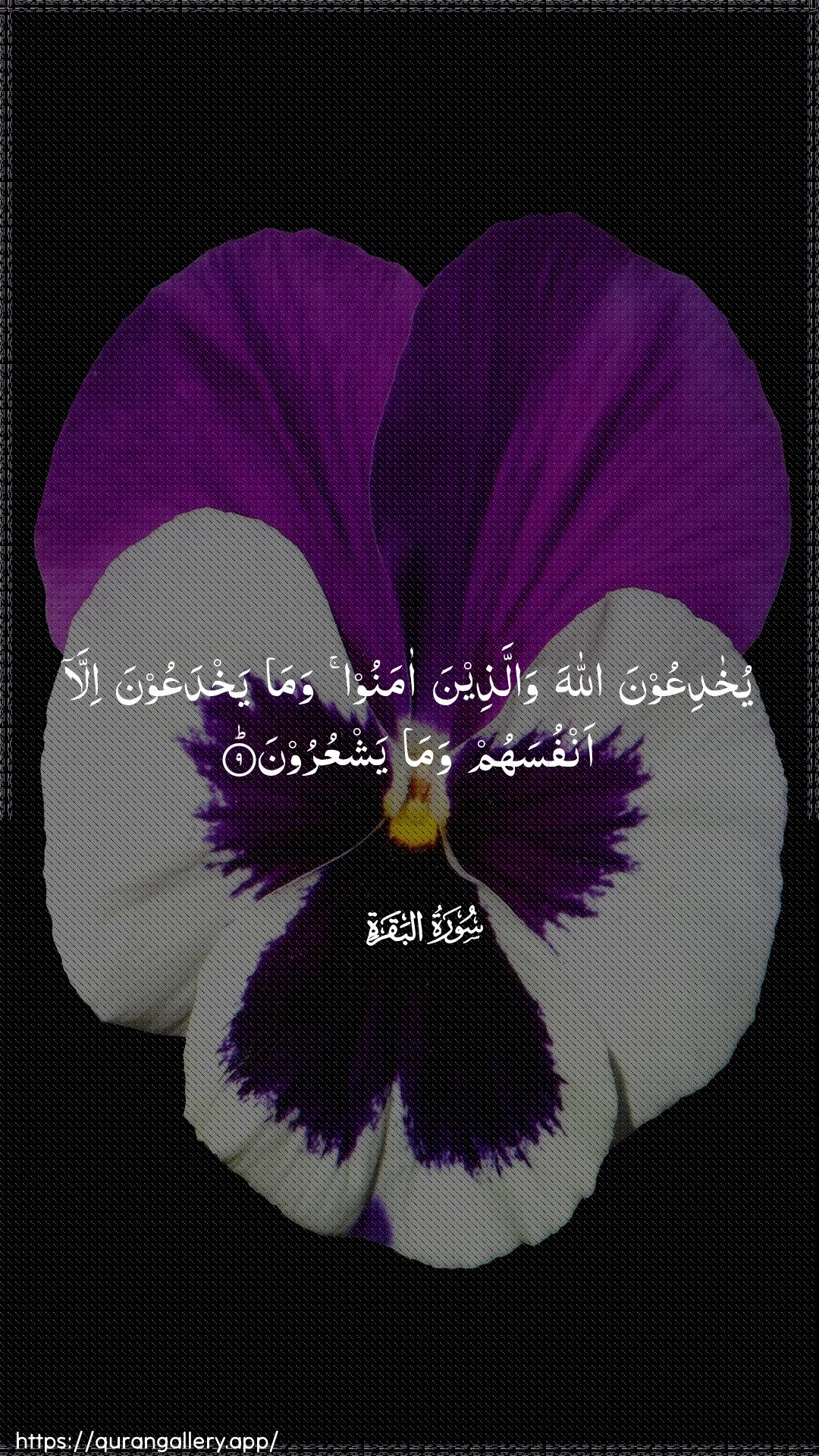 Surah Al-Baqara Ayah 9 of 2 HD Wallpaper: Download Beautiful vertical Quran Verse Image | YukhadiAAoona Allaha wallatheenaamanoo wama yakhdaAAoona illa anfusahum wamayashAAuroon