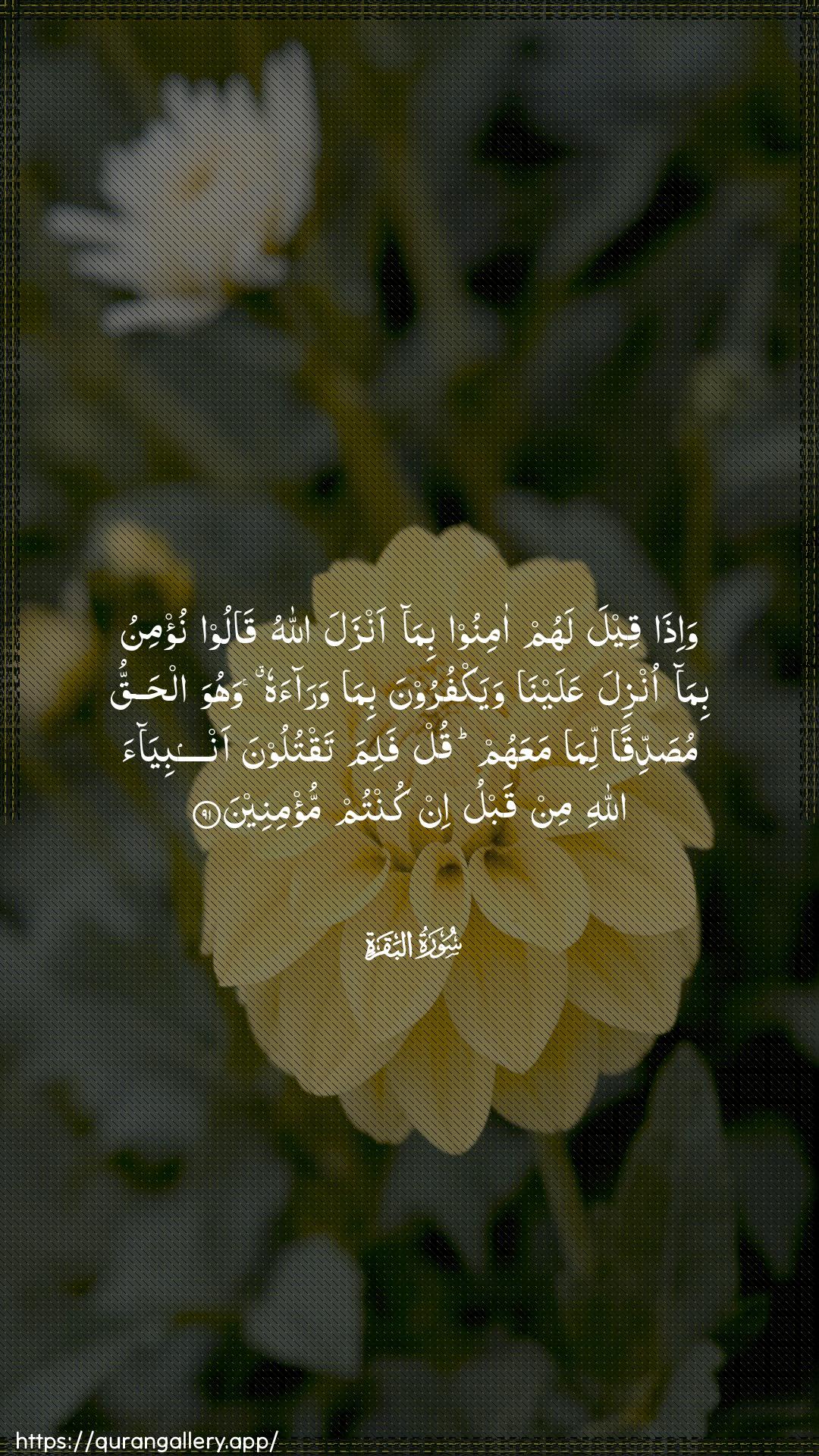 Surah Al-Baqara Ayah 91 of 2 HD Wallpaper: Download Beautiful vertical Quran Verse Image | Wa-itha qeela lahum aminoo bimaanzala Allahu qaloo nu/minu bima onzilaAAalayna wayakfuroona bima waraahu wahuwa alhaqqumusaddiqan lima maAAahum qul falima taqtuloonaanbiyaa Allahi min qablu in kuntum mu/mineen