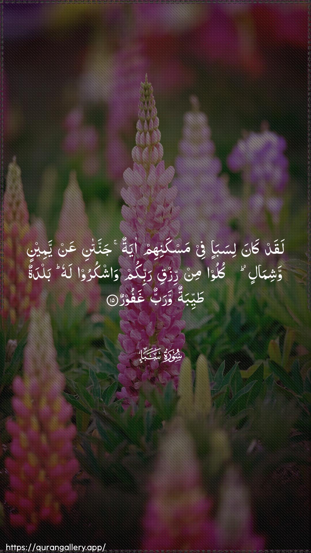 Surah Saba Ayah 15 of 34 HD Wallpaper: Download Beautiful vertical Quran Verse Image | Laqad kana lisaba-in fee maskanihim ayatunjannatani AAan yameenin washimalin kuloo min rizqirabbikum washkuroo lahu baldatun tayyibatunwarabbun ghafoor