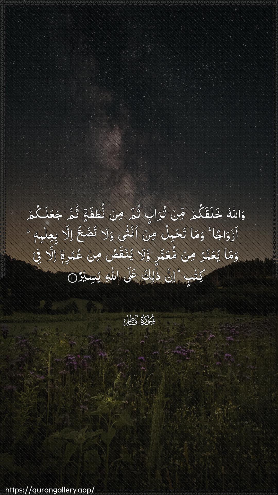 Surah Faatir Ayah 11 of 35 HD Wallpaper: Download Beautiful vertical Quran Verse Image | Wallahu khalaqakum min turabinthumma min nutfatin thumma jaAAalakum azwajan wamatahmilu min ontha wala tadaAAu illabiAAilmihi wama yuAAammaru min muAAammarin walayunqasu min AAumurihi illa fee kitabin inna thalikaAAala Allahi yaseer